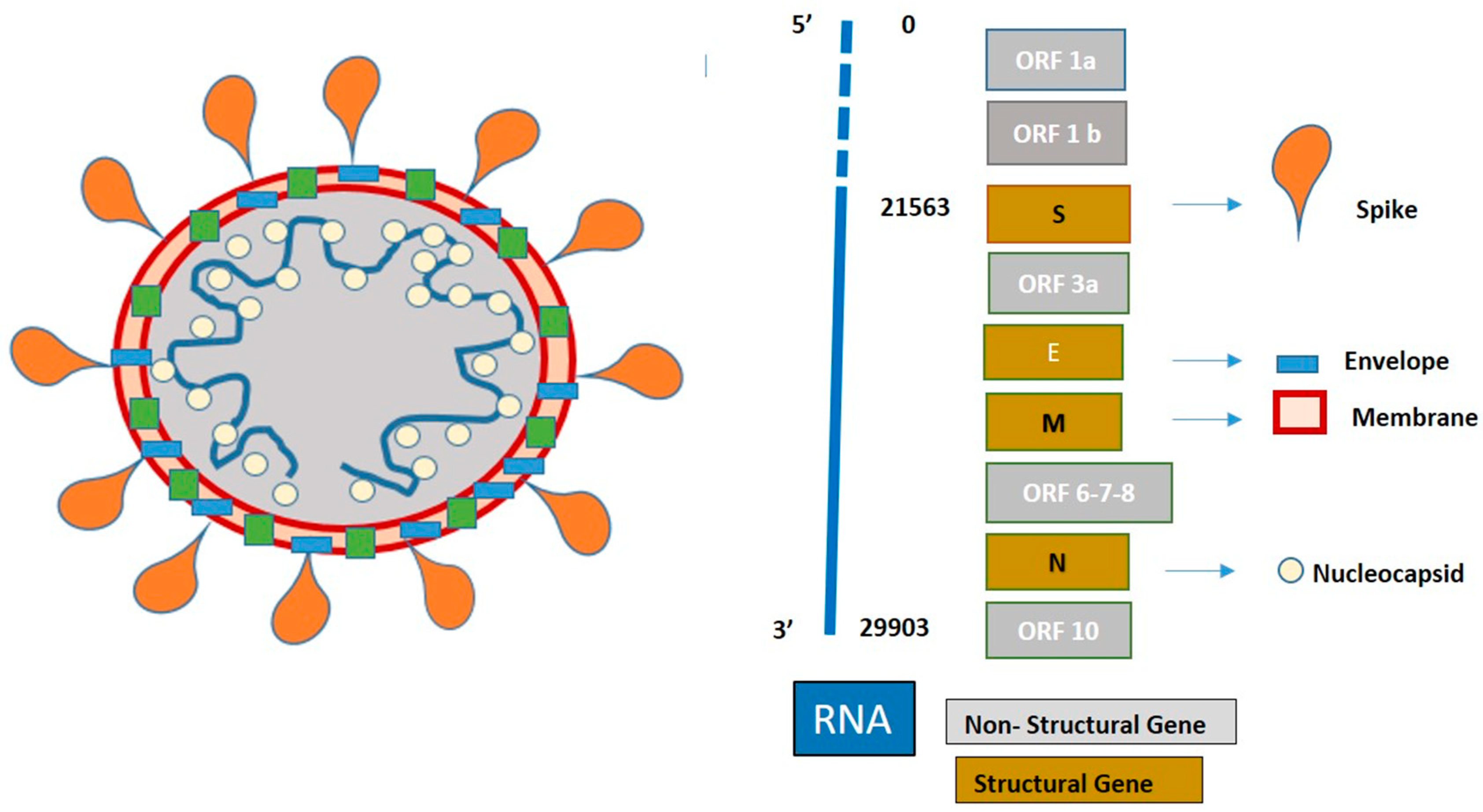 Jcm 10 01139 g001 Jcm 10 01139 g001