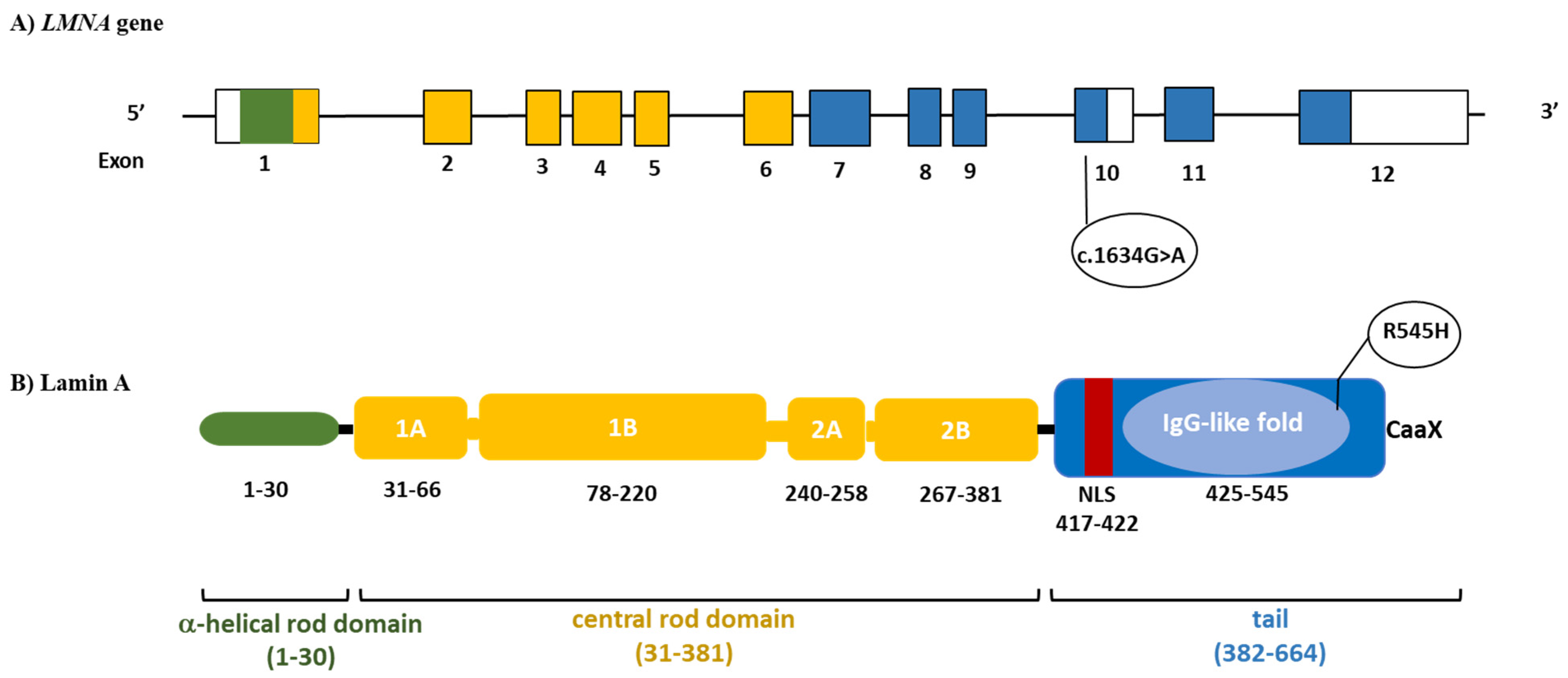Jcm 10 01142 g001 Jcm 10 01142 g001