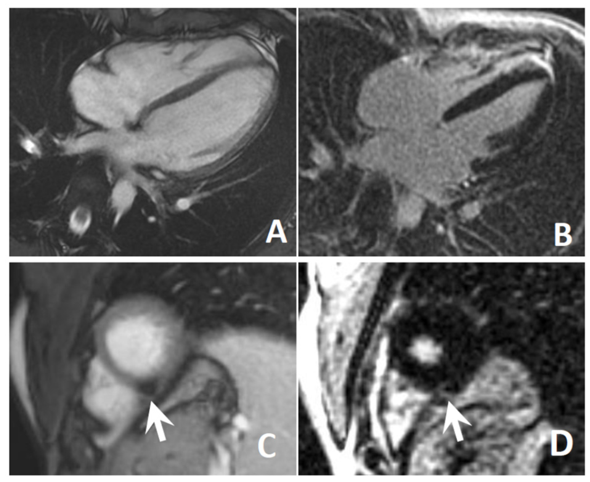 Jcm 10 01142 g003 Jcm 10 01142 g003