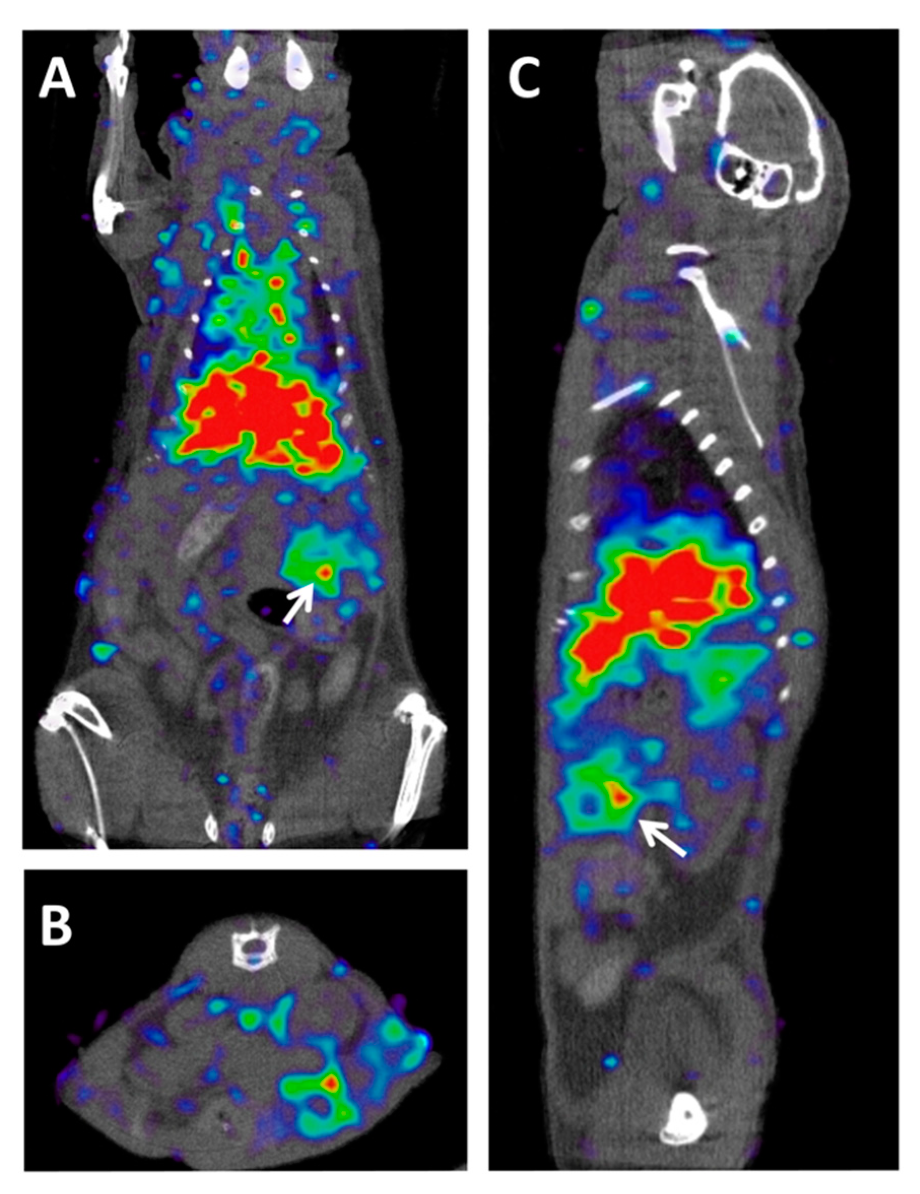 Jcm 10 01151 g005 Jcm 10 01151 g005