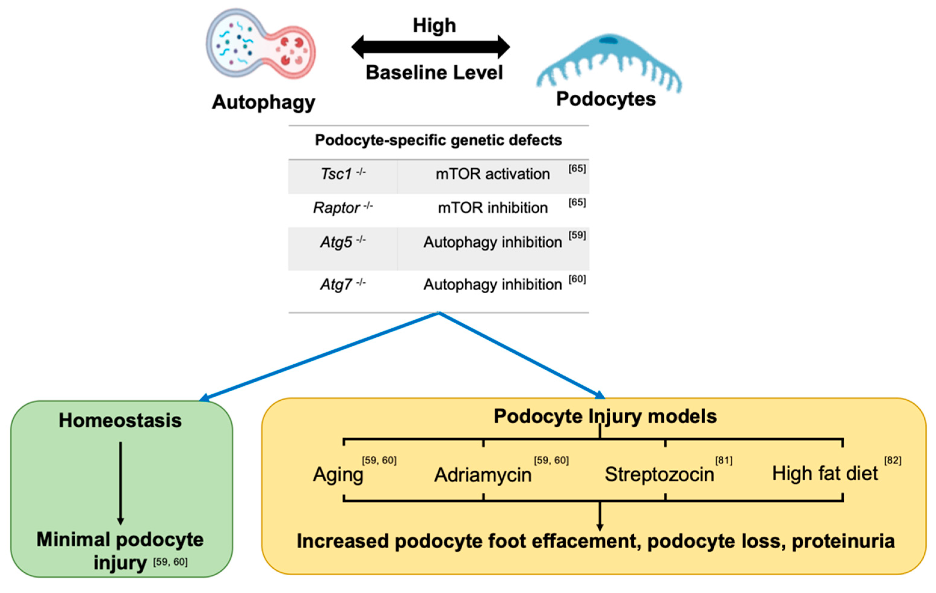Jcm 10 01184 g002 Jcm 10 01184 g002