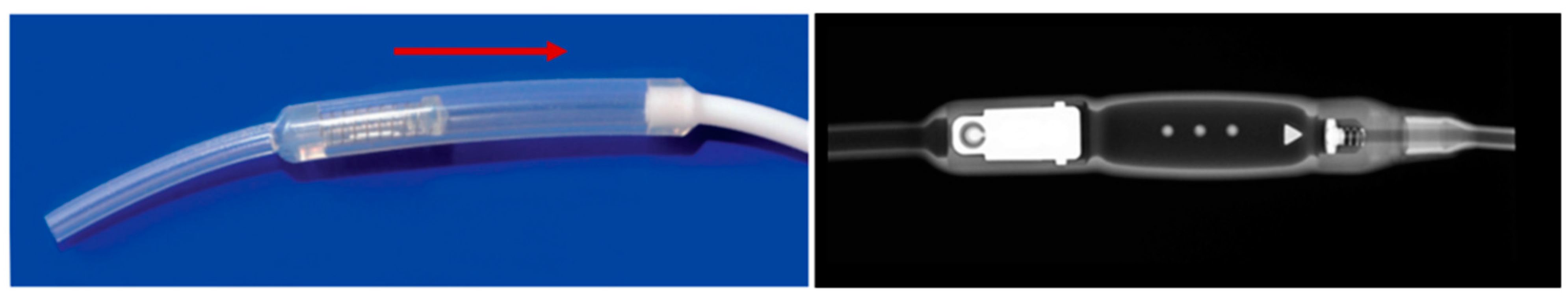 Jcm 10 01210 g006 Jcm 10 01210 g006