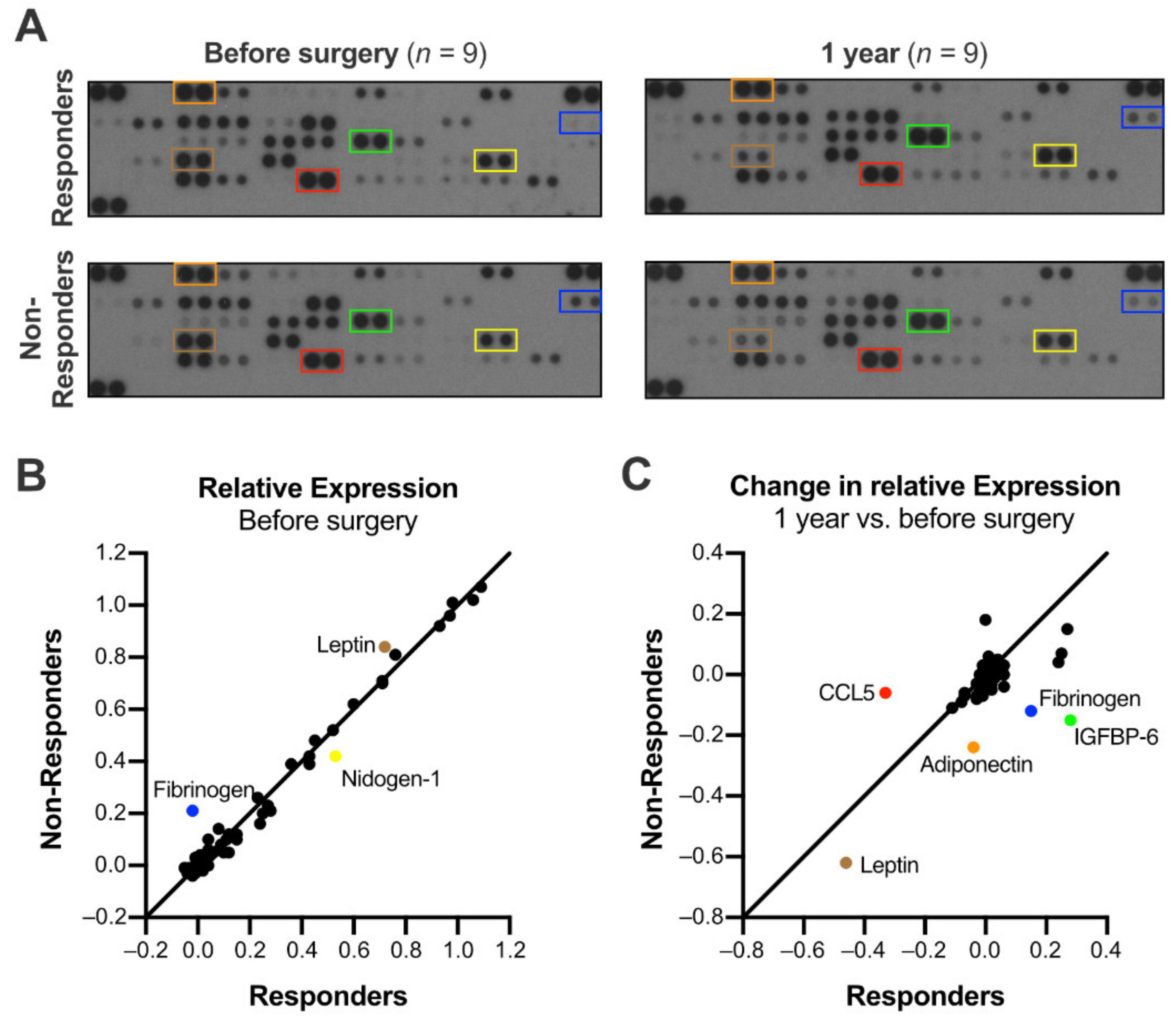 Jcm 10 01233 g003 Jcm 10 01233 g003