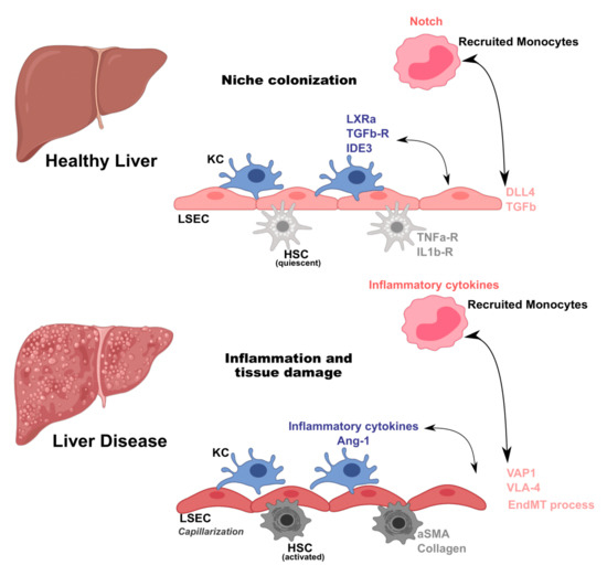Jcm 10 01248 g001 550