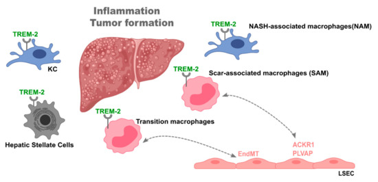 Jcm 10 01248 g002 550