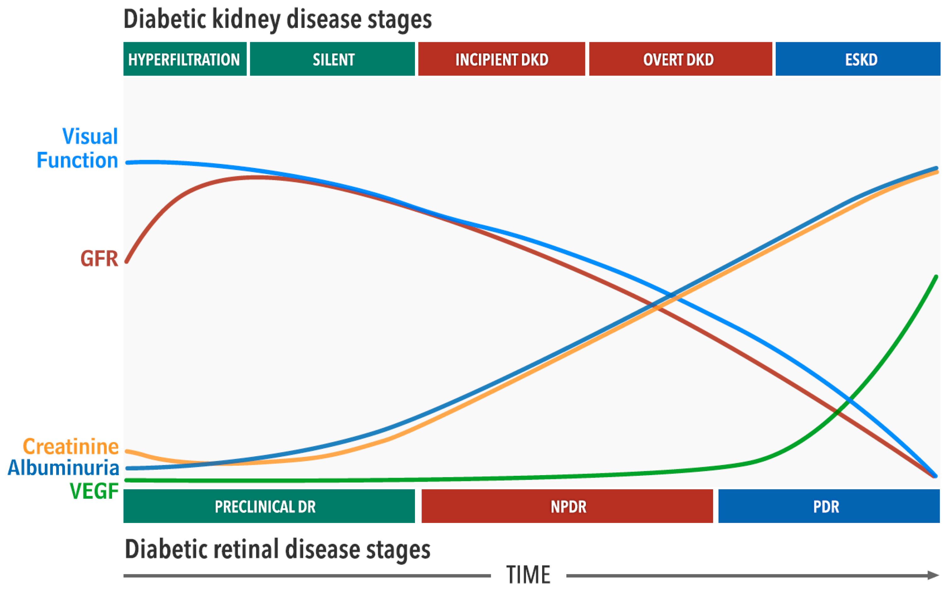 Jcm 10 01254 g002 Jcm 10 01254 g002