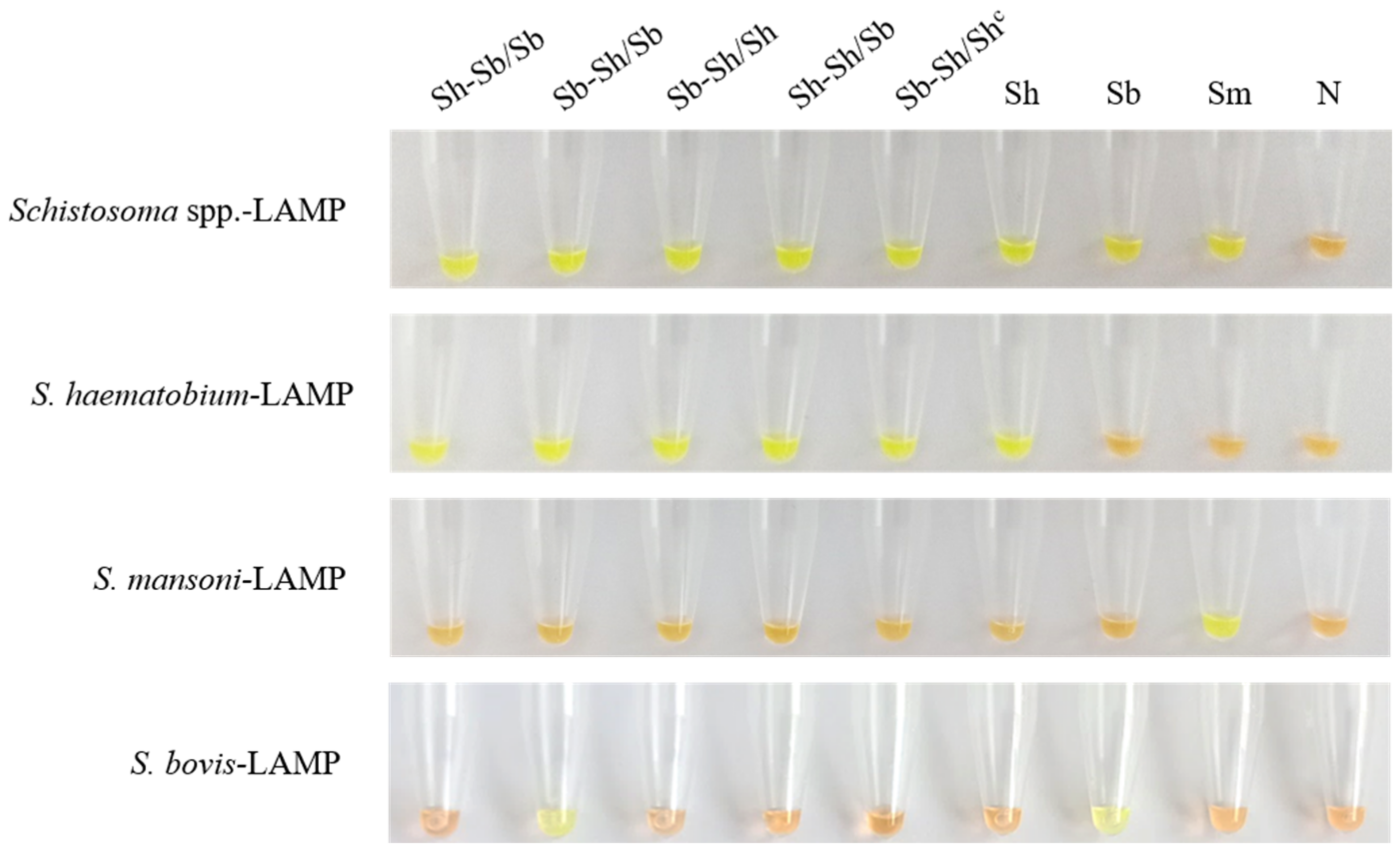 Jcm 10 01308 g001 Jcm 10 01308 g001