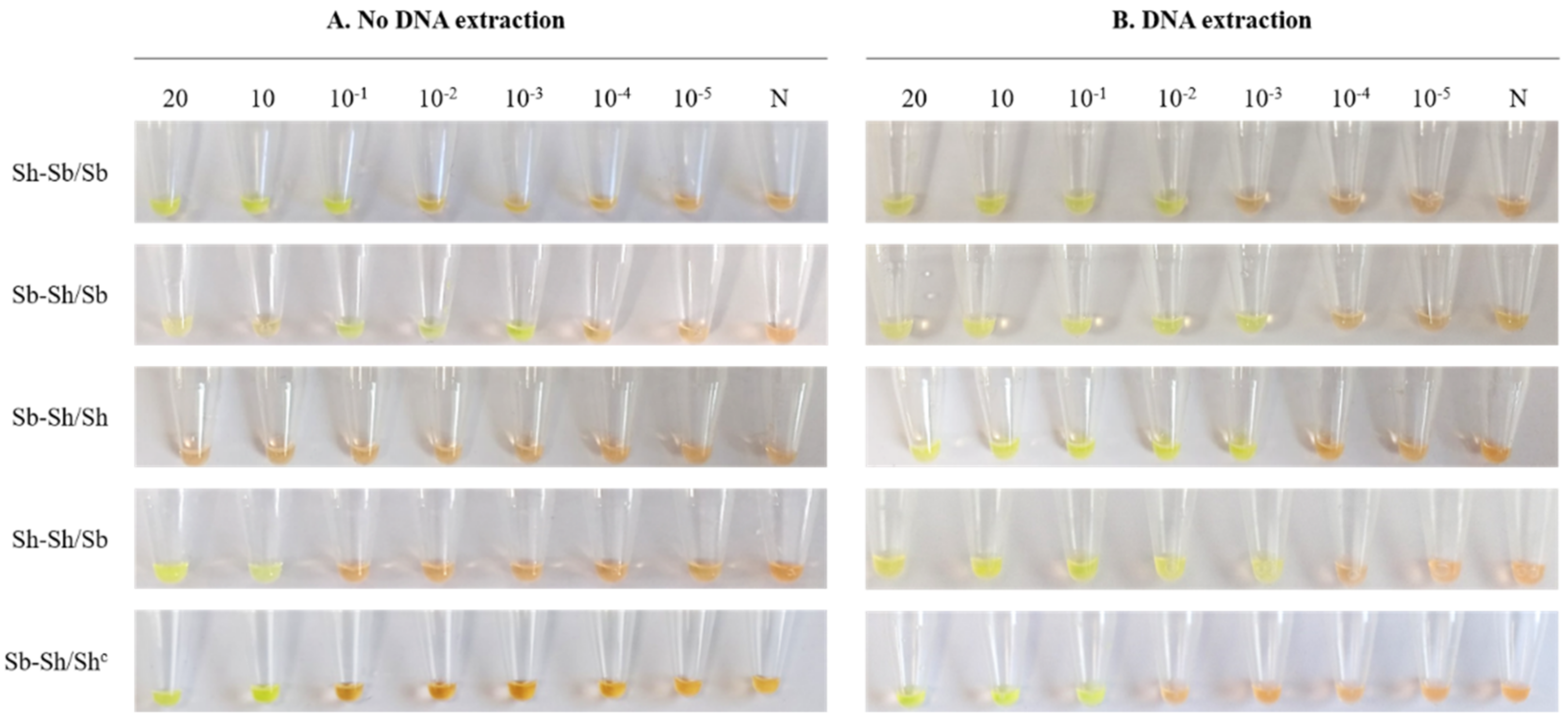 Jcm 10 01308 g003 Jcm 10 01308 g003