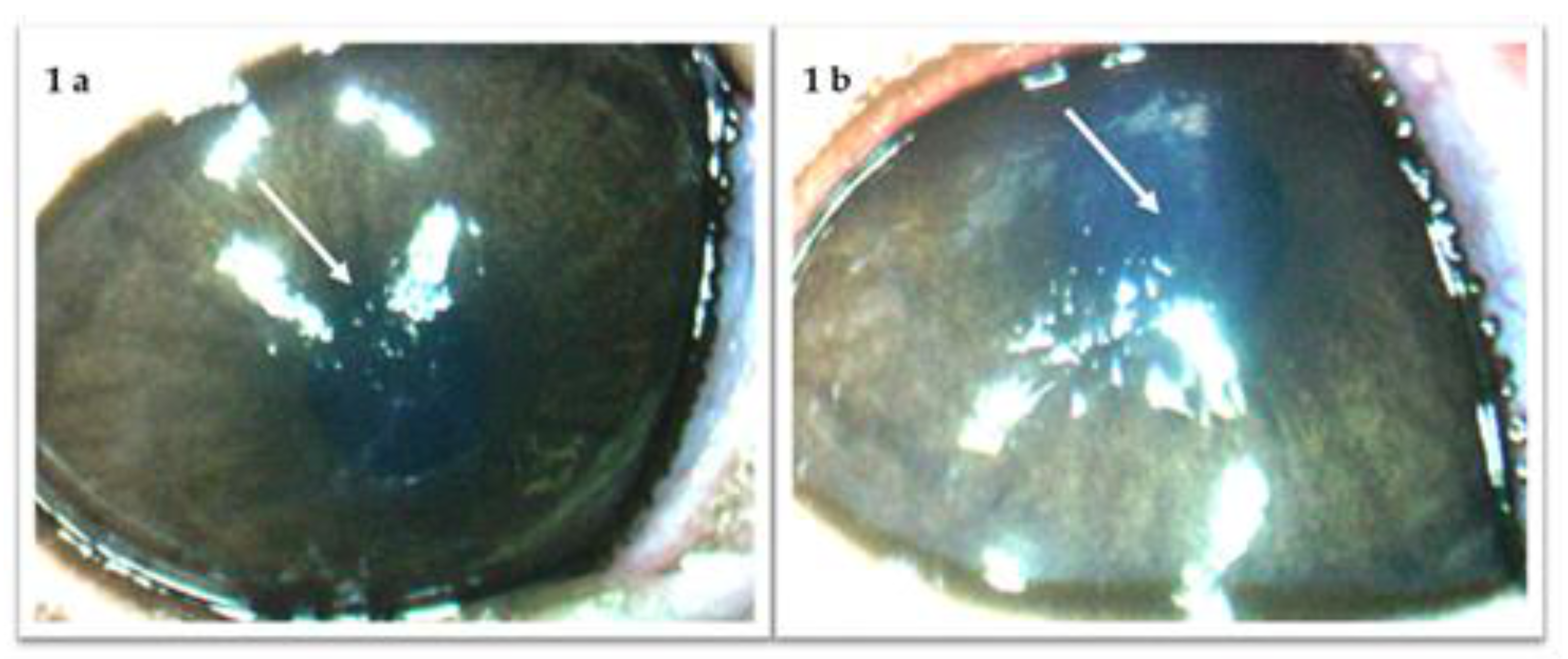 Jcm 10 01324 g001 Jcm 10 01324 g001