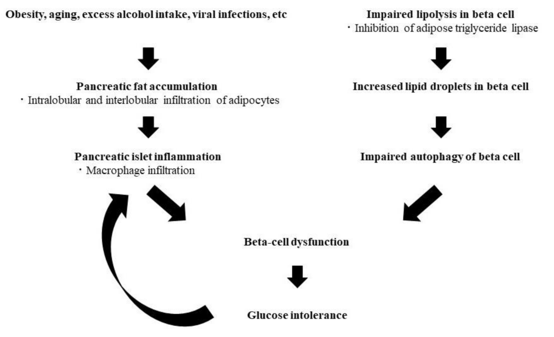 Jcm 10 01326 g001 Jcm 10 01326 g001