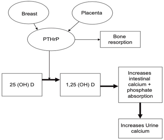 Jcm 10 01378 g002 550