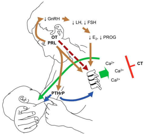 Jcm 10 01378 g003 550
