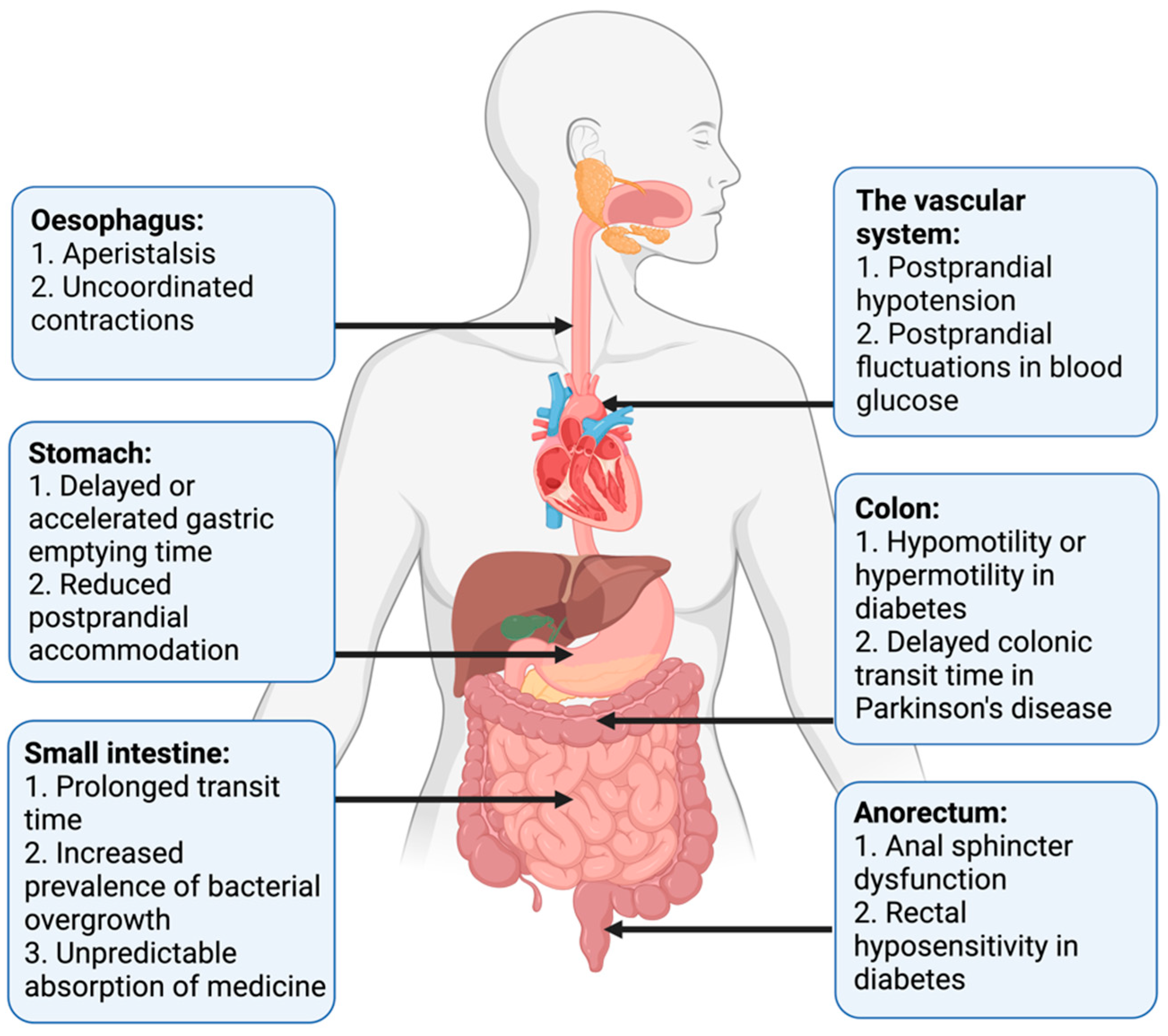 diabetes motility disorder előnyei a cukorbetegség kezelésében