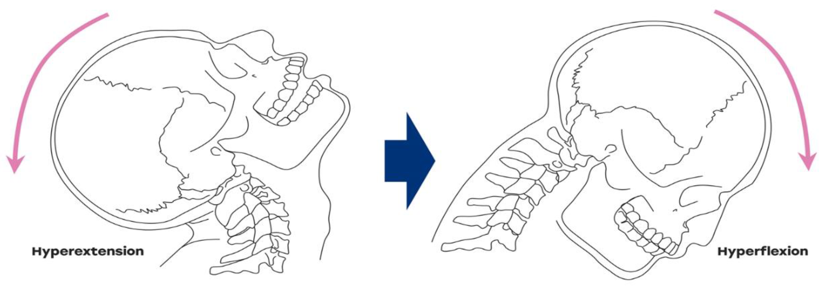 Jcm 10 01404 g001 Jcm 10 01404 g001