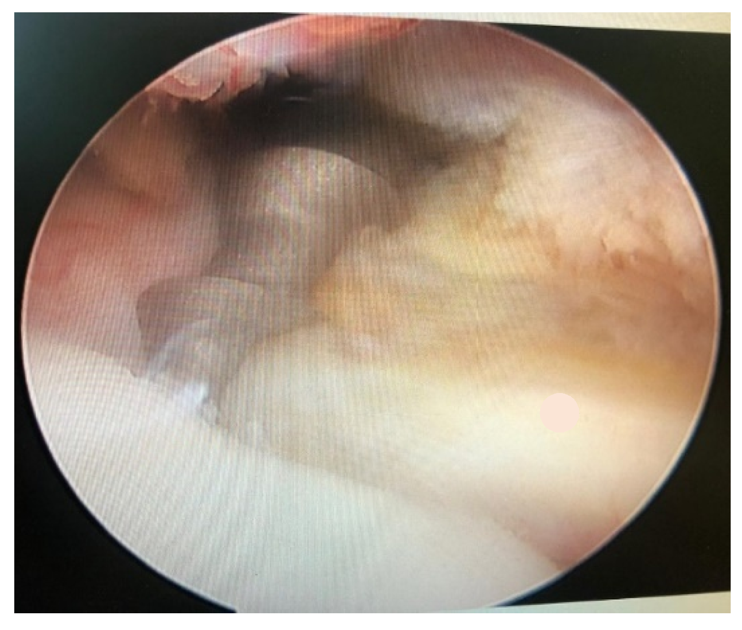 Jcm 10 01410 g001 Jcm 10 01410 g001