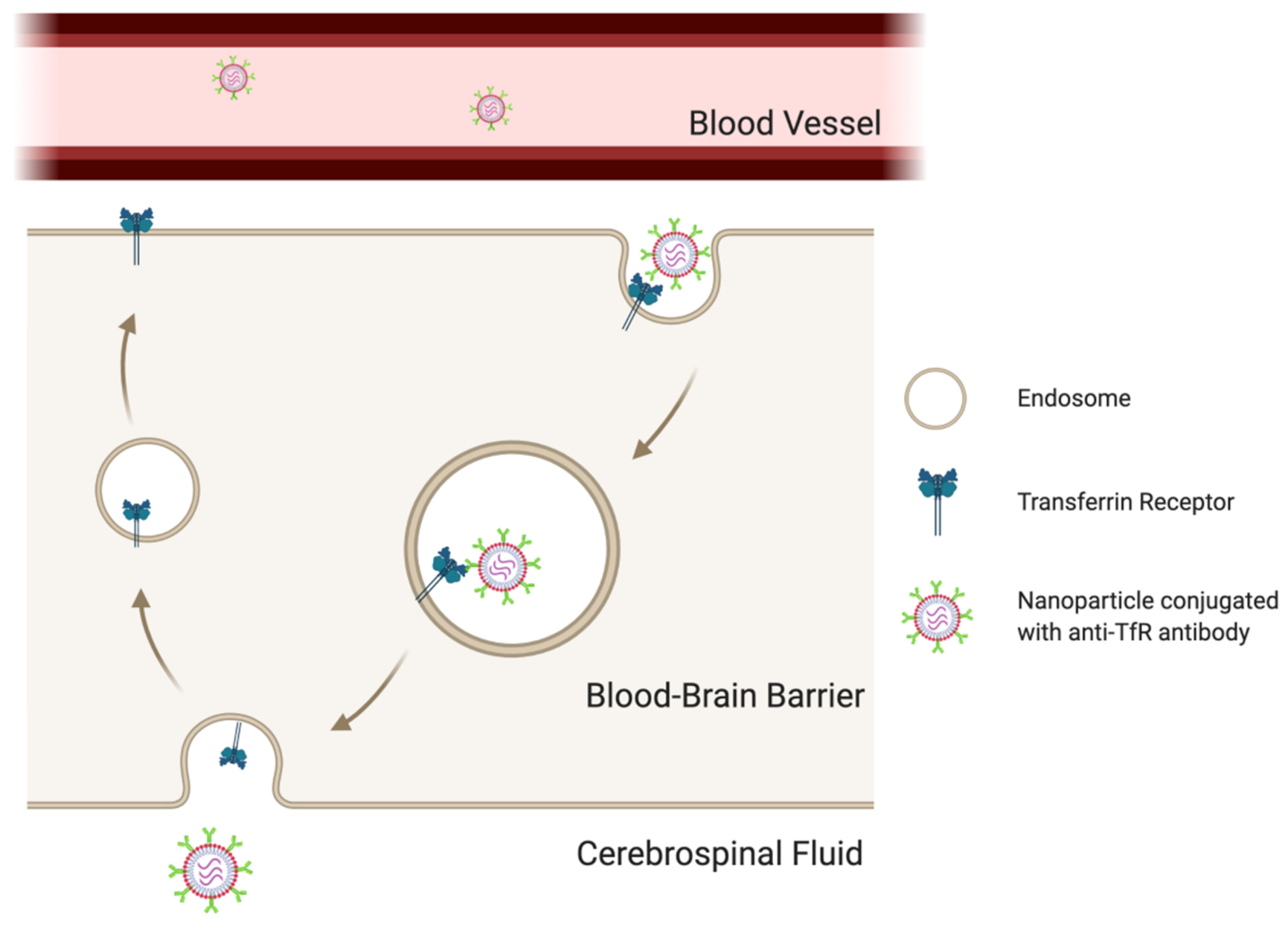 Jcm 10 01437 g002 Jcm 10 01437 g002