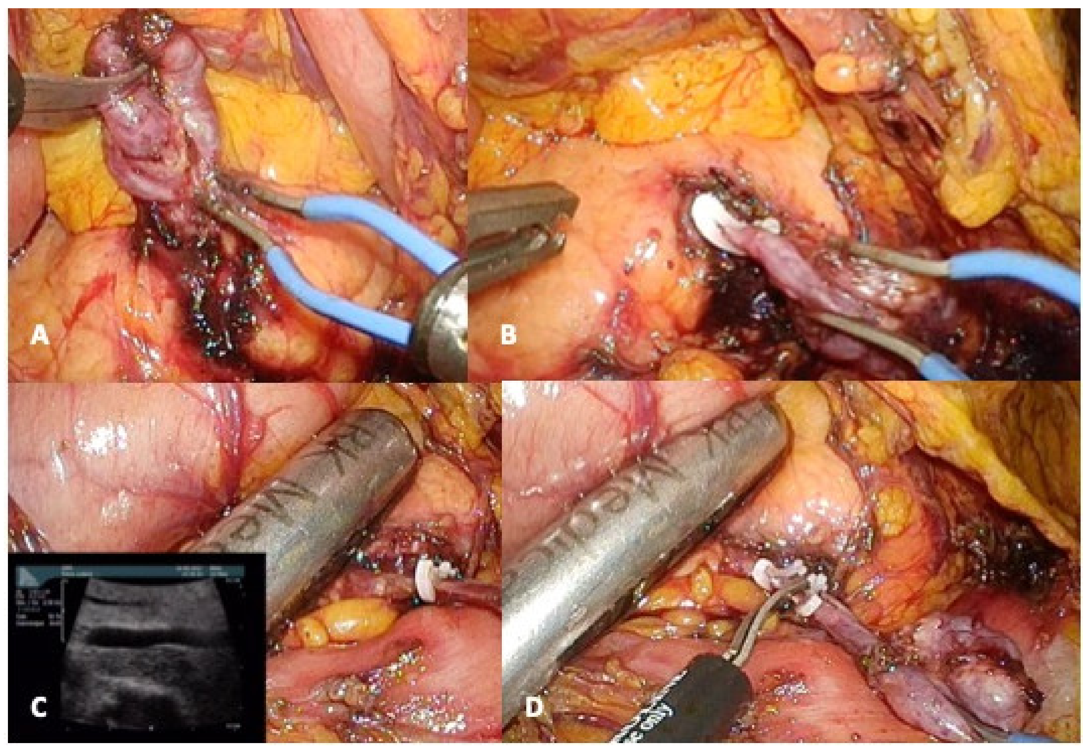 Jcm 10 01479 g002 Jcm 10 01479 g002
