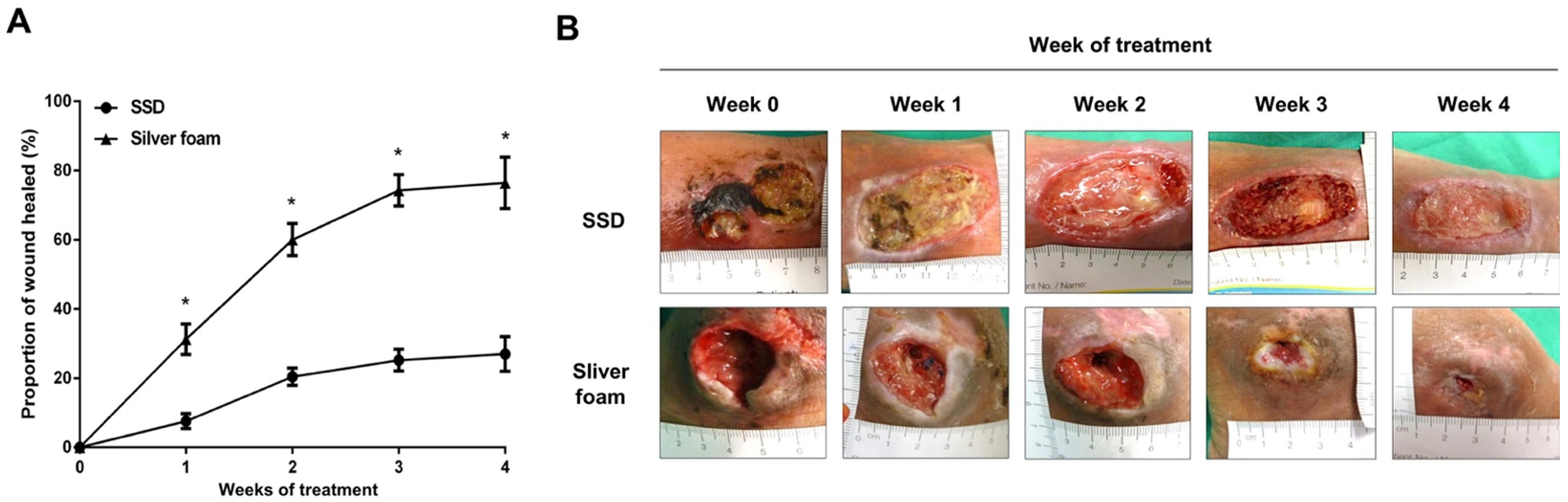 Jcm 10 01495 g002 Jcm 10 01495 g002