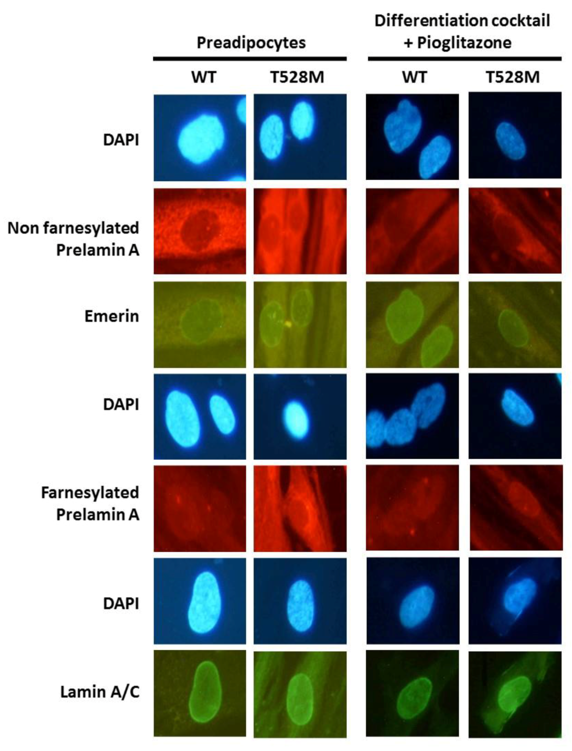Jcm 10 01497 g006 Jcm 10 01497 g006