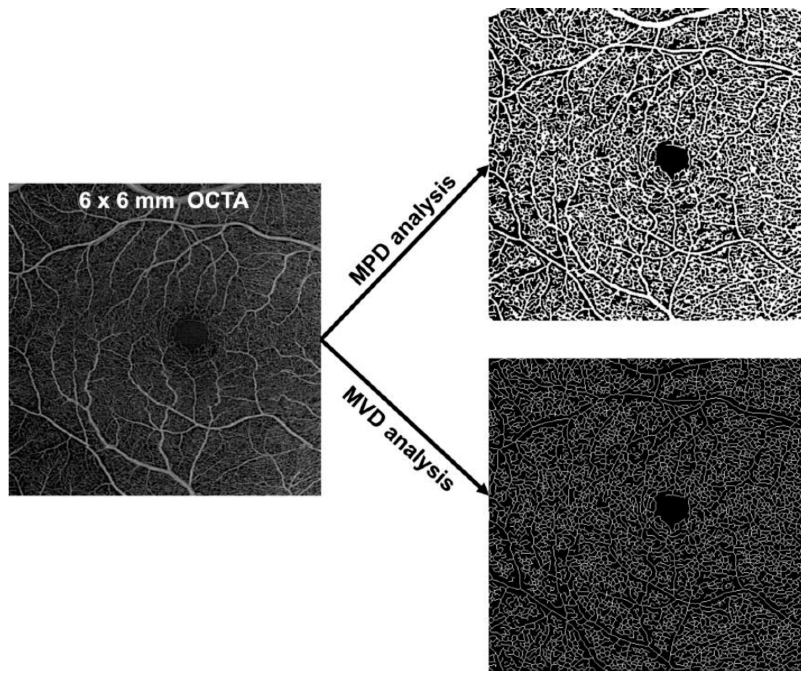 Jcm 10 01524 g001 Jcm 10 01524 g001