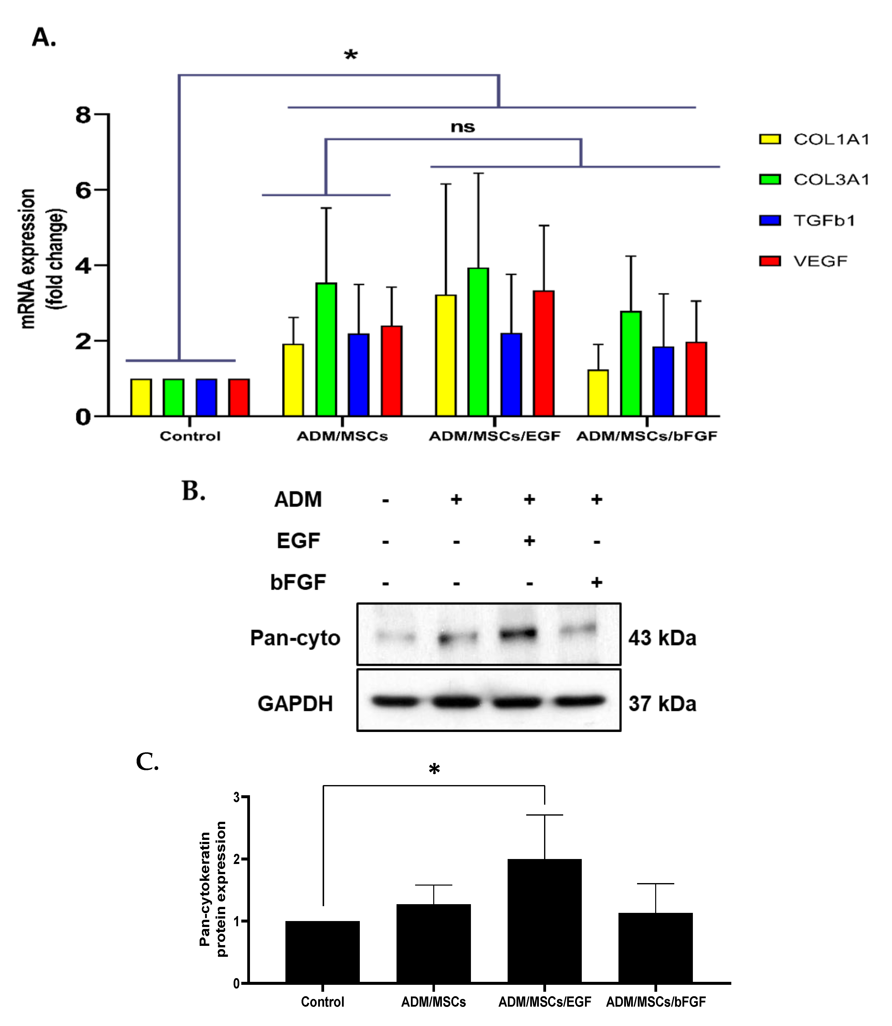Jcm 10 01541 g003 Jcm 10 01541 g003