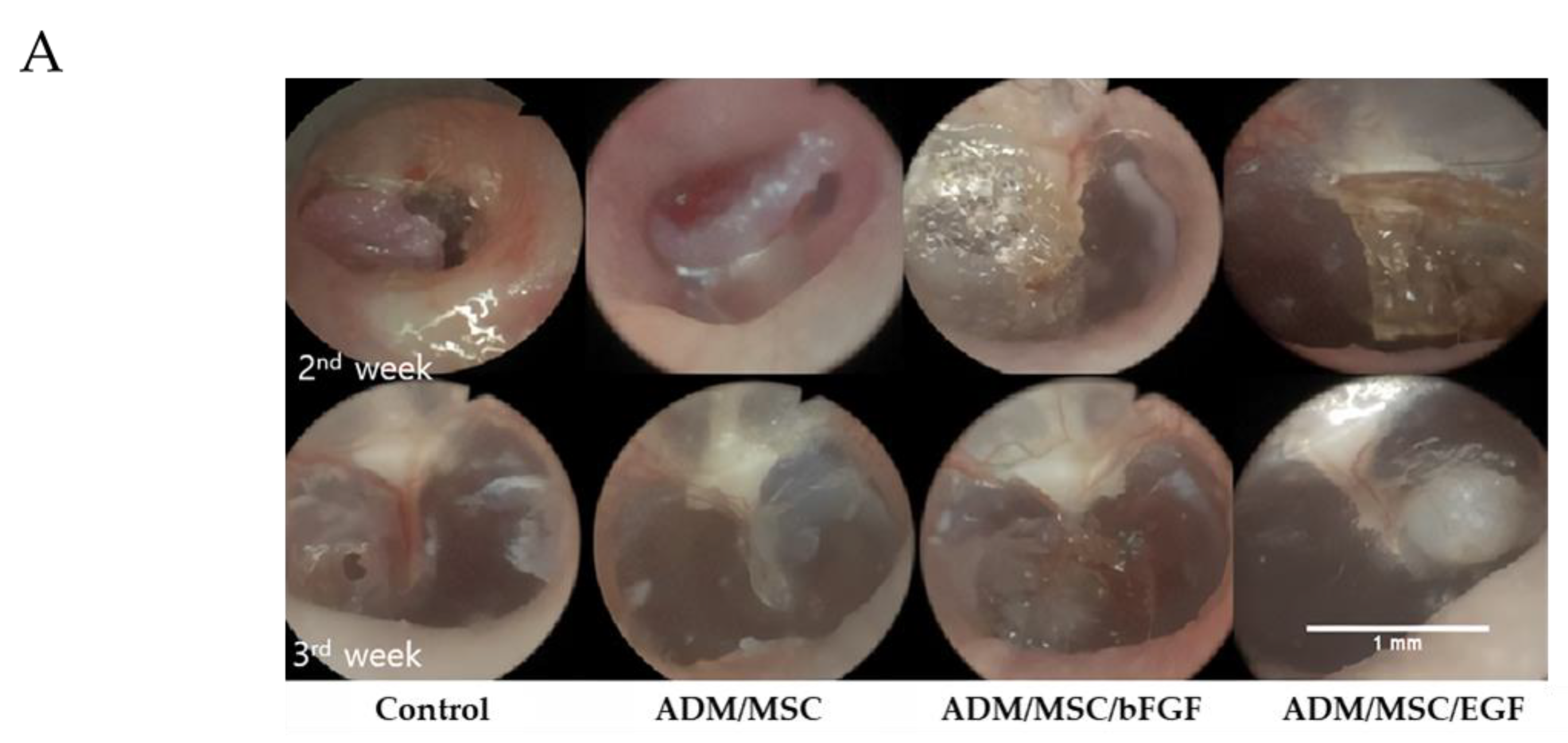 Jcm 10 01541 g004a Jcm 10 01541 g004a
