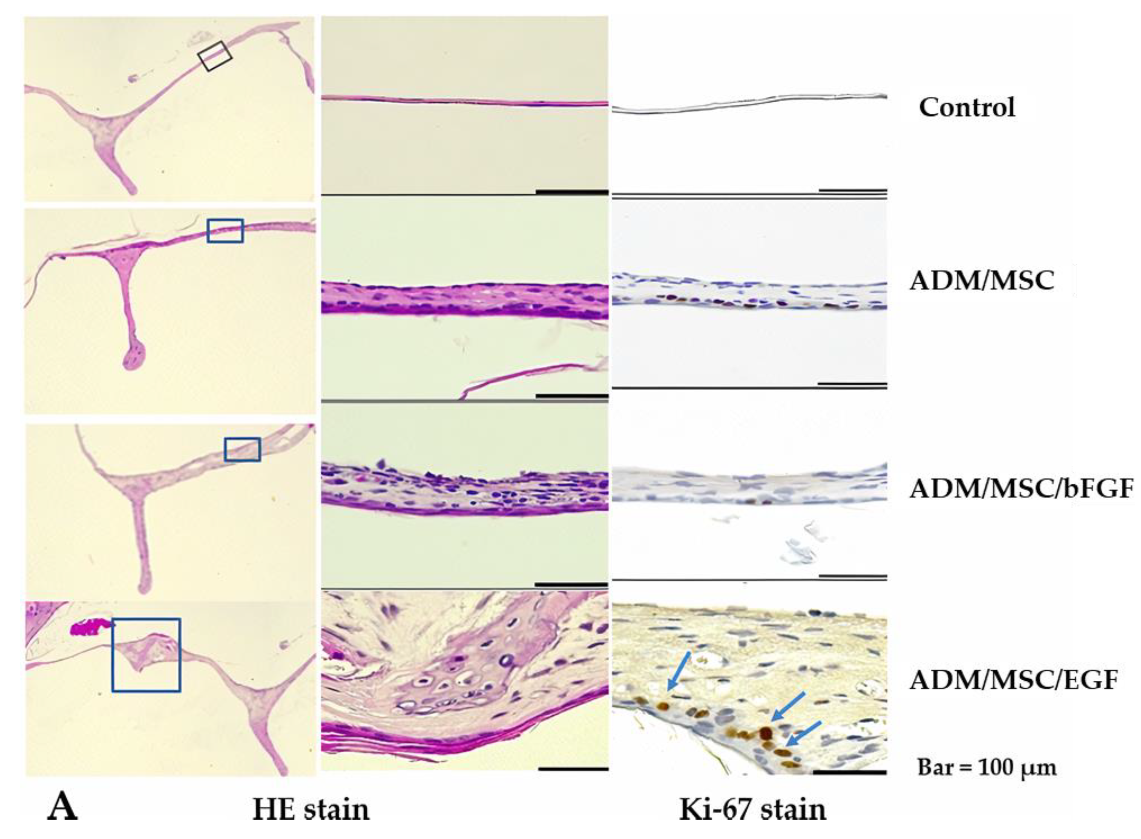Jcm 10 01541 g005a Jcm 10 01541 g005a