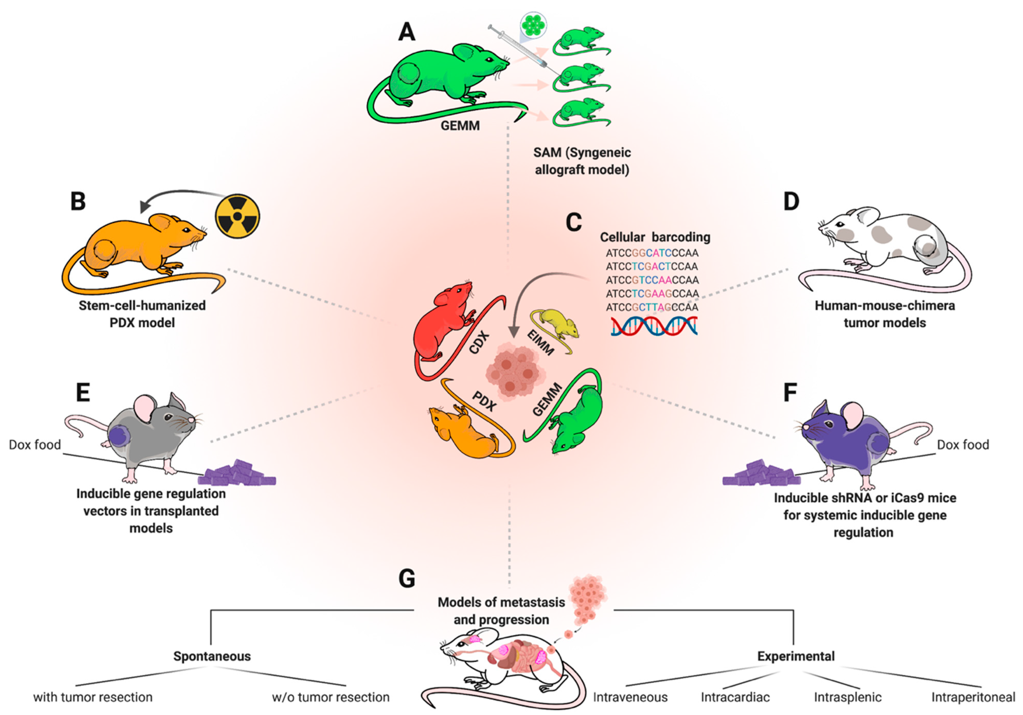Jcm 10 01578 g006 Jcm 10 01578 g006