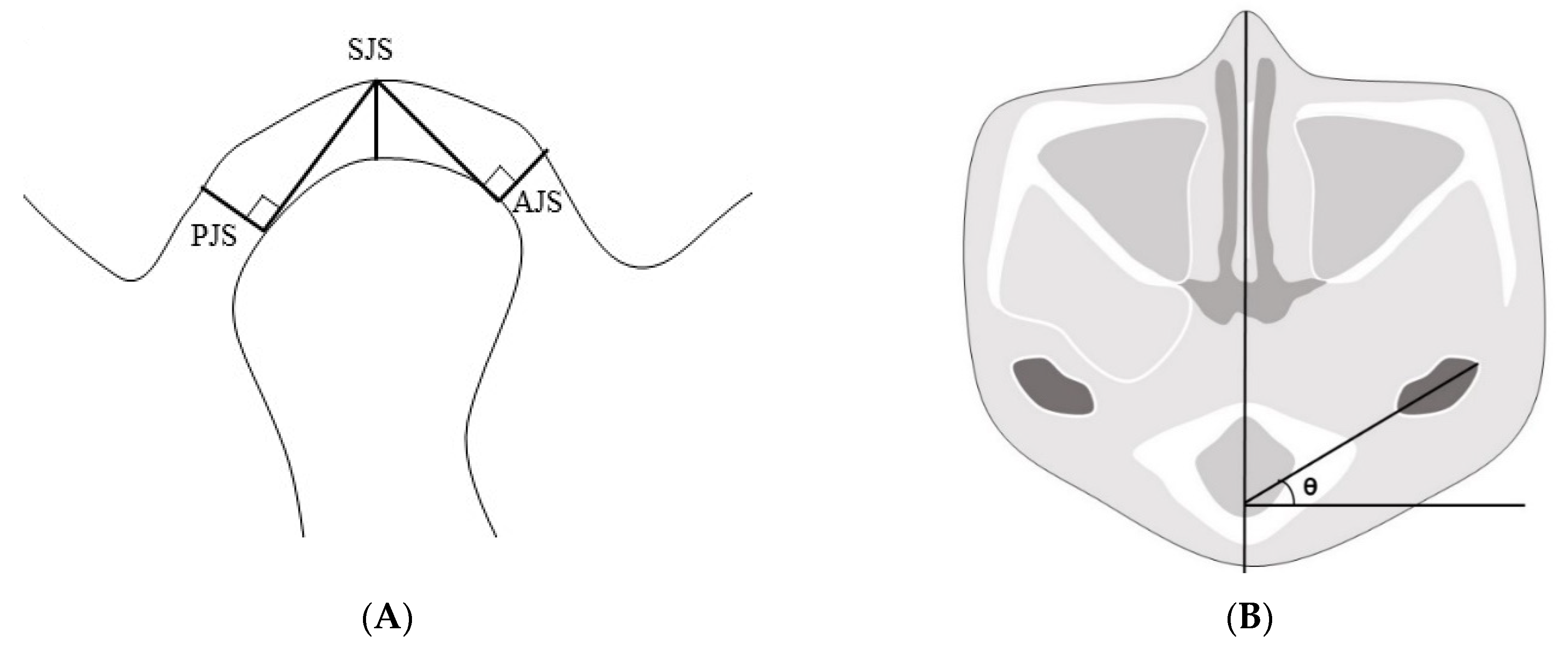 Jcm 10 01597 g004 Jcm 10 01597 g004