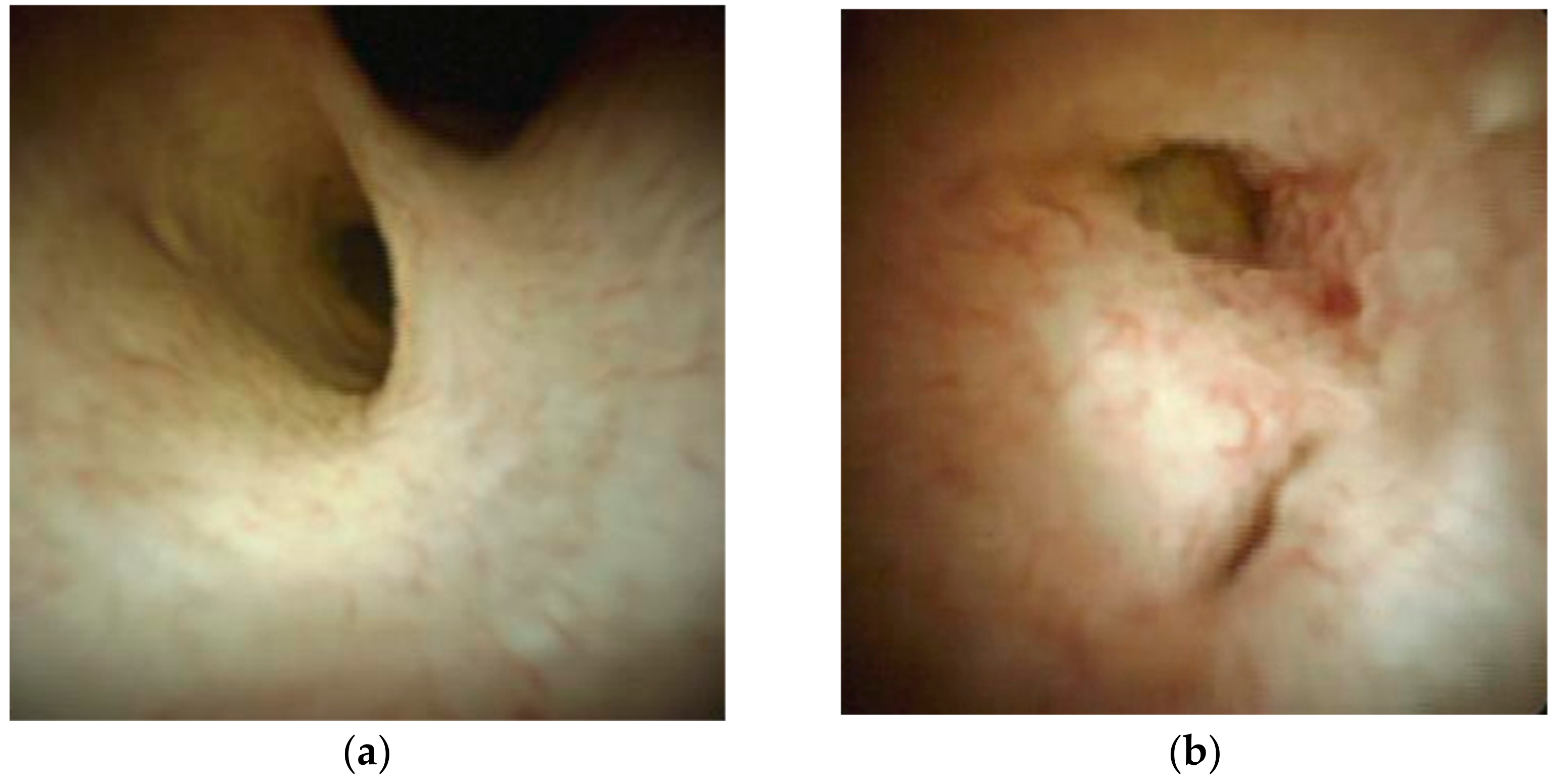 Jcm 10 01638 g001 Jcm 10 01638 g001