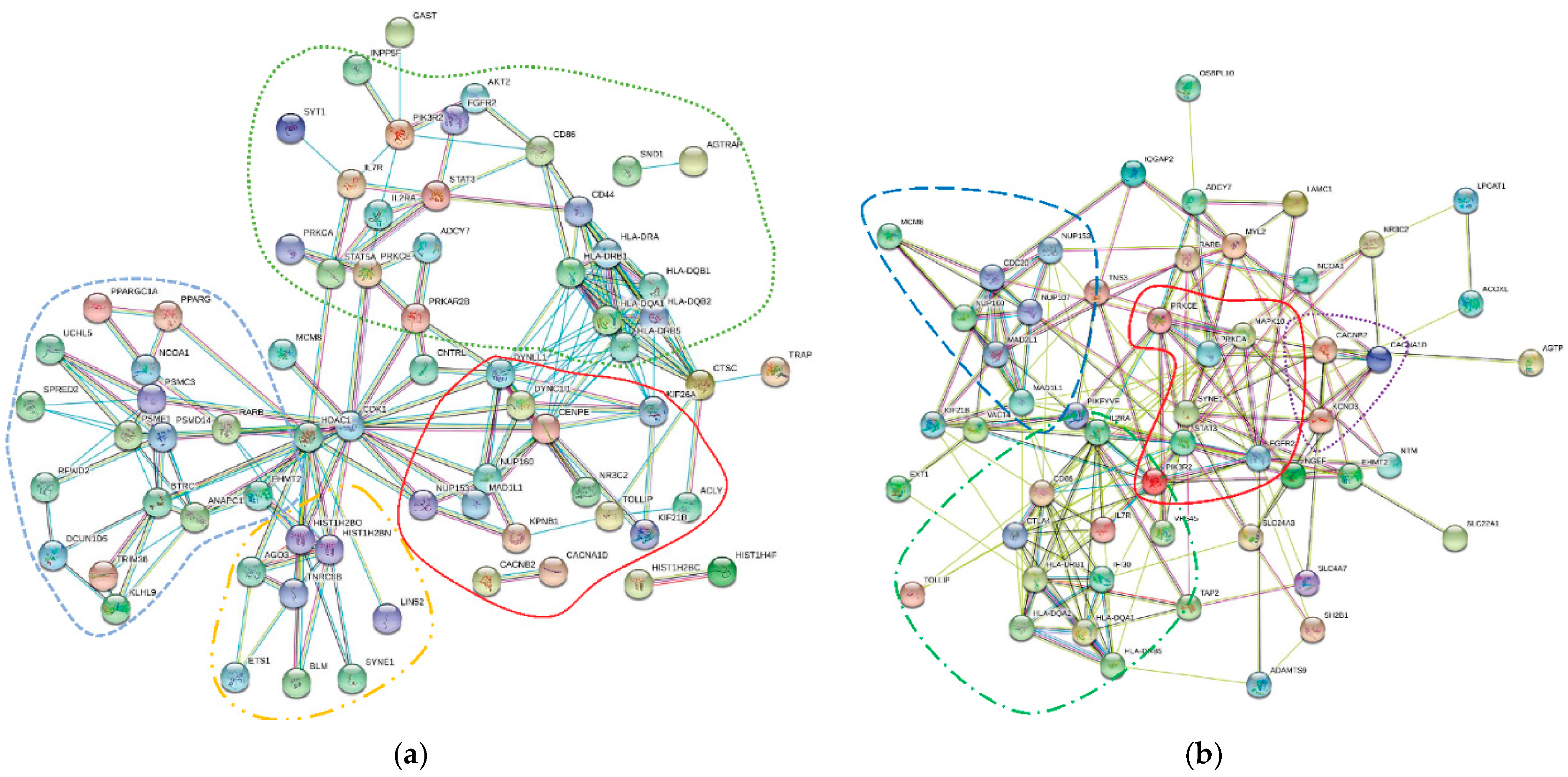 Jcm 10 01666 g002 Jcm 10 01666 g002