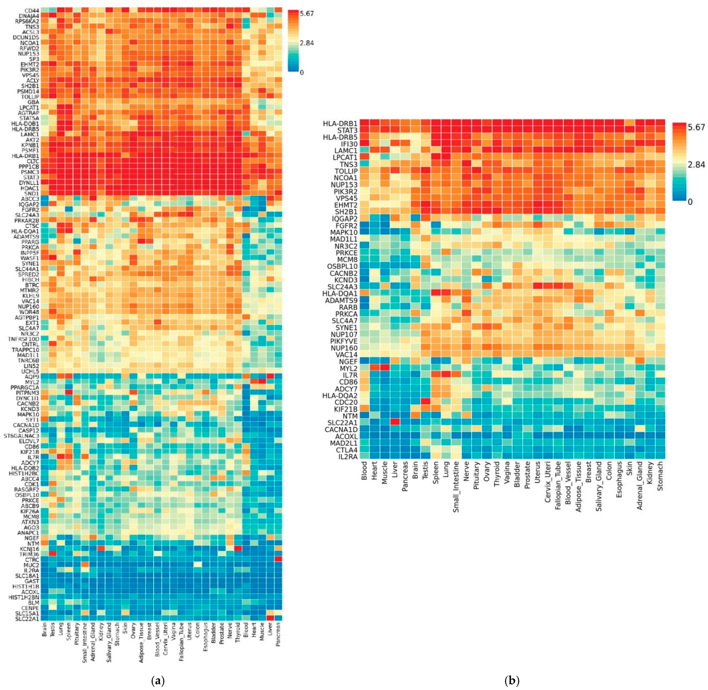 Jcm 10 01666 g003 Jcm 10 01666 g003