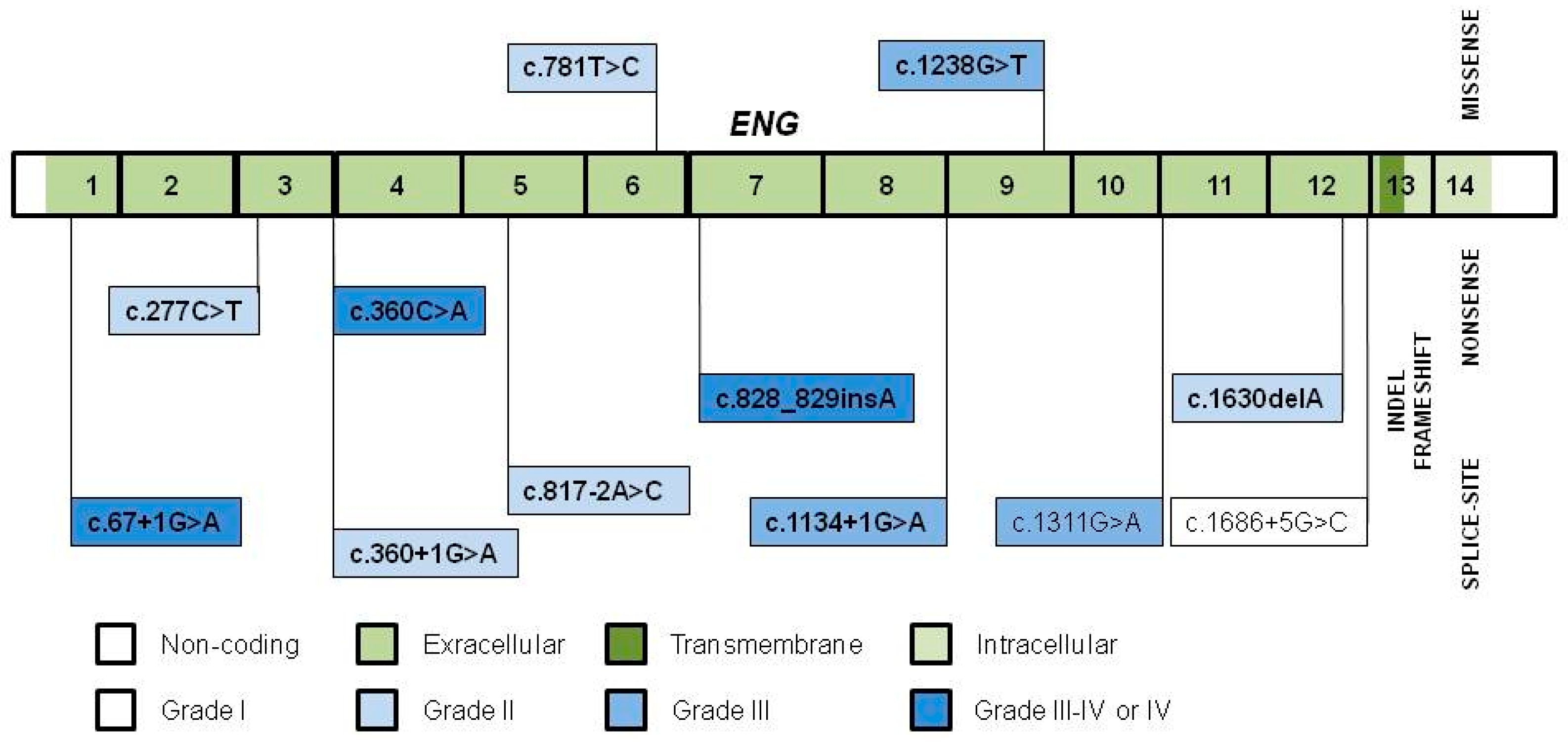 Jcm 10 01682 g003 Jcm 10 01682 g003