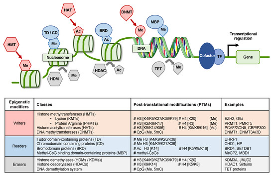 mediator 9 epigenetics mediator 9 epigenetics