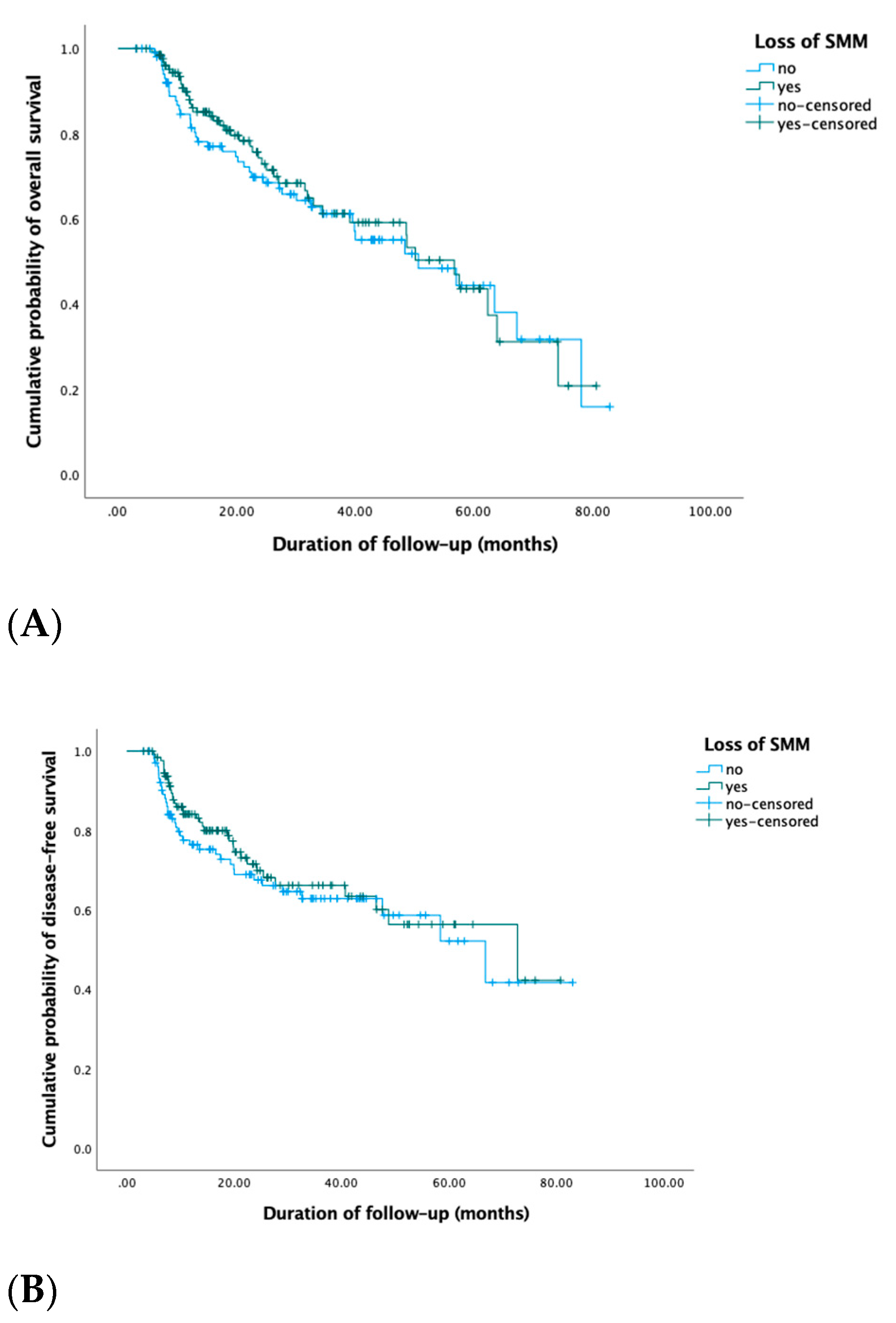 Jcm Free Full Text Patterns Predictors And Prognostic Value Of Skeletal Muscle Mass Loss In Patients With Locally Advanced Head And Neck Cancer Undergoing Cisplatin Based Chemoradiotherapy Html