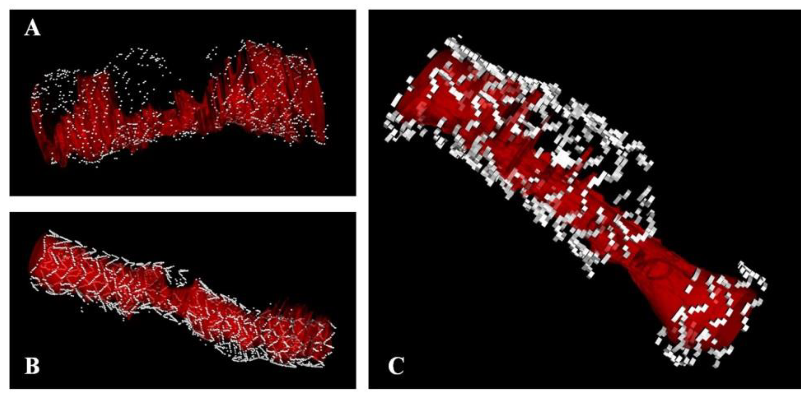 Jcm 10 01765 g005 Jcm 10 01765 g005