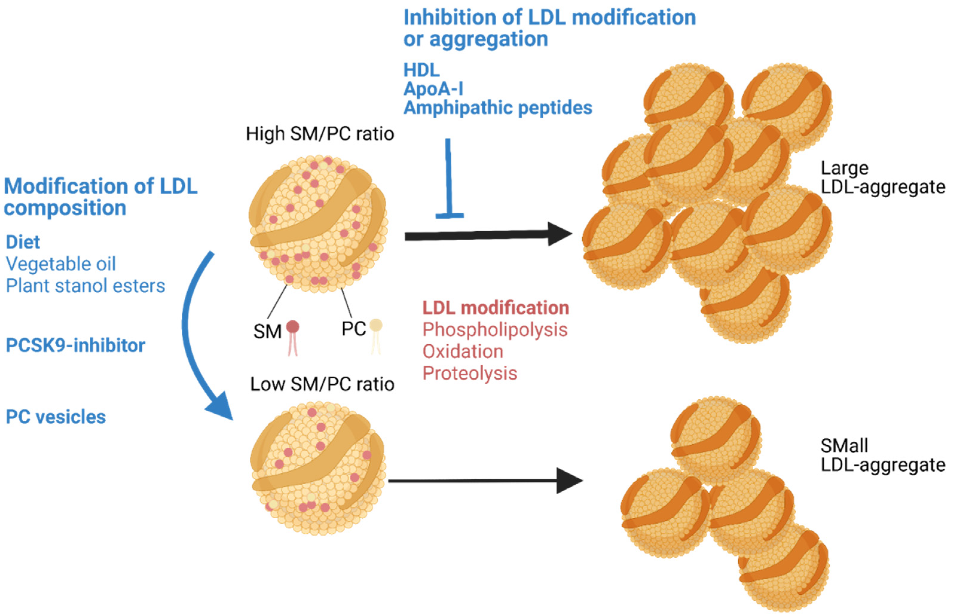 Jcm 10 01769 g002 Jcm 10 01769 g002