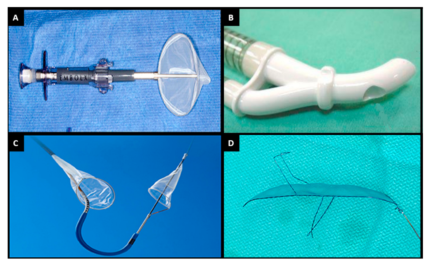 Jcm 10 01789 g004 Jcm 10 01789 g004