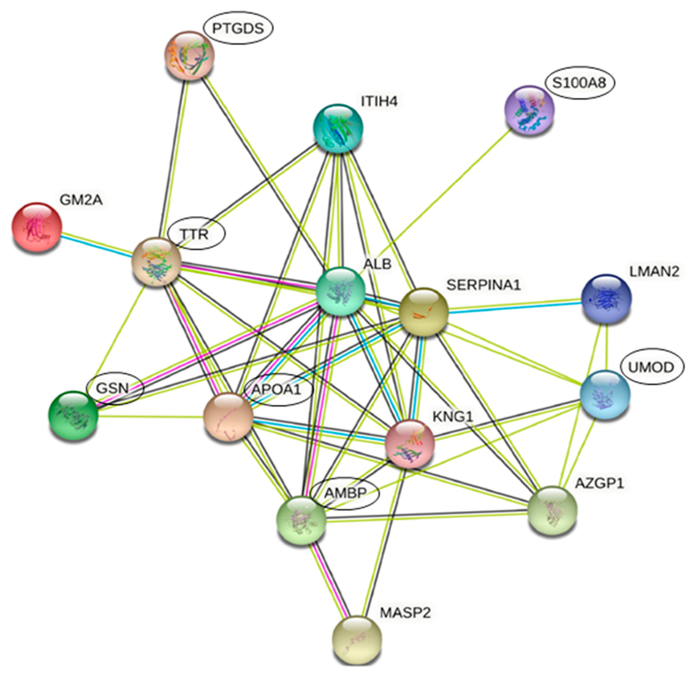 Jcm 10 01854 g003 Jcm 10 01854 g003