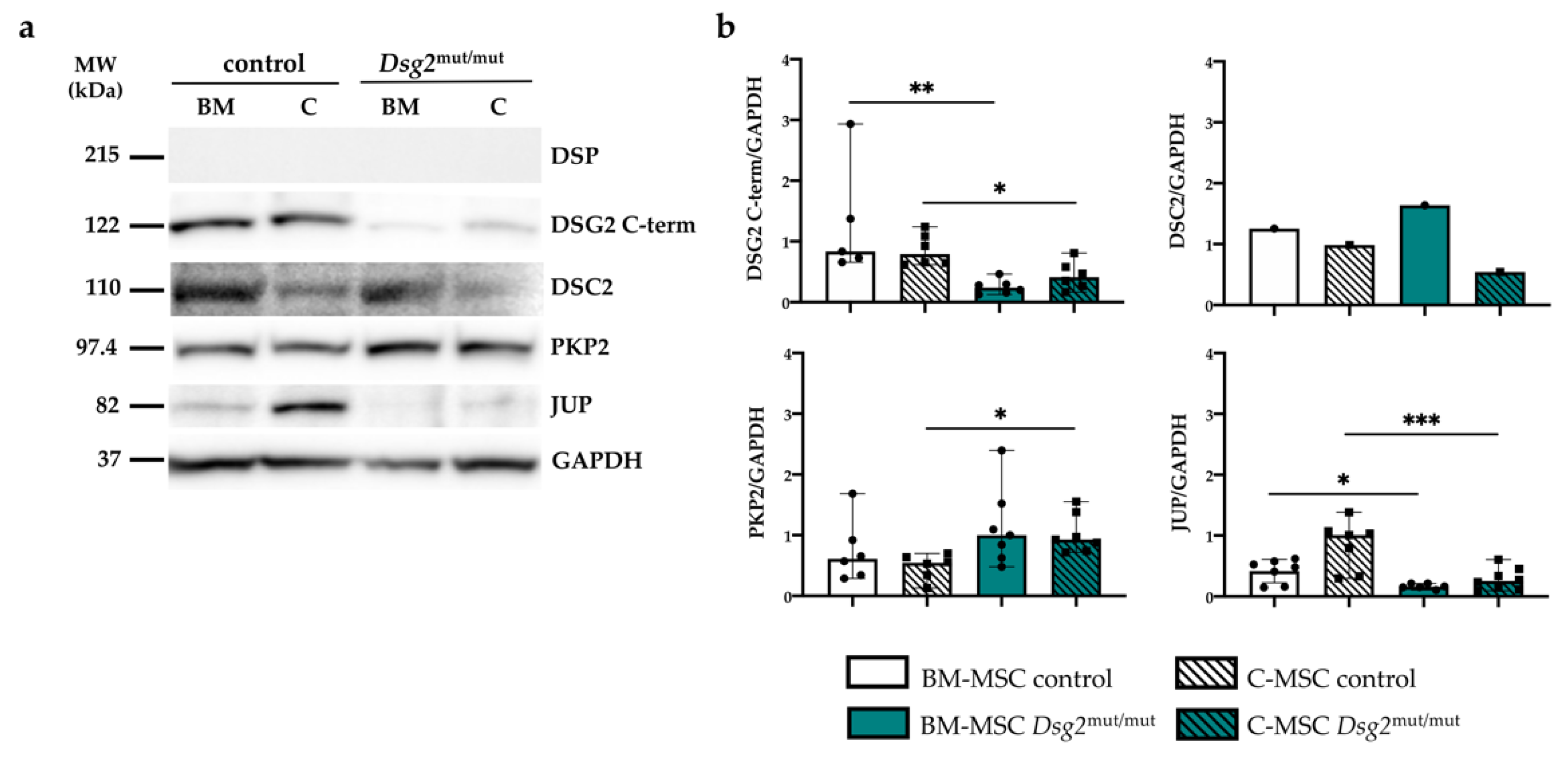 Jcm 10 01871 g001 Jcm 10 01871 g001