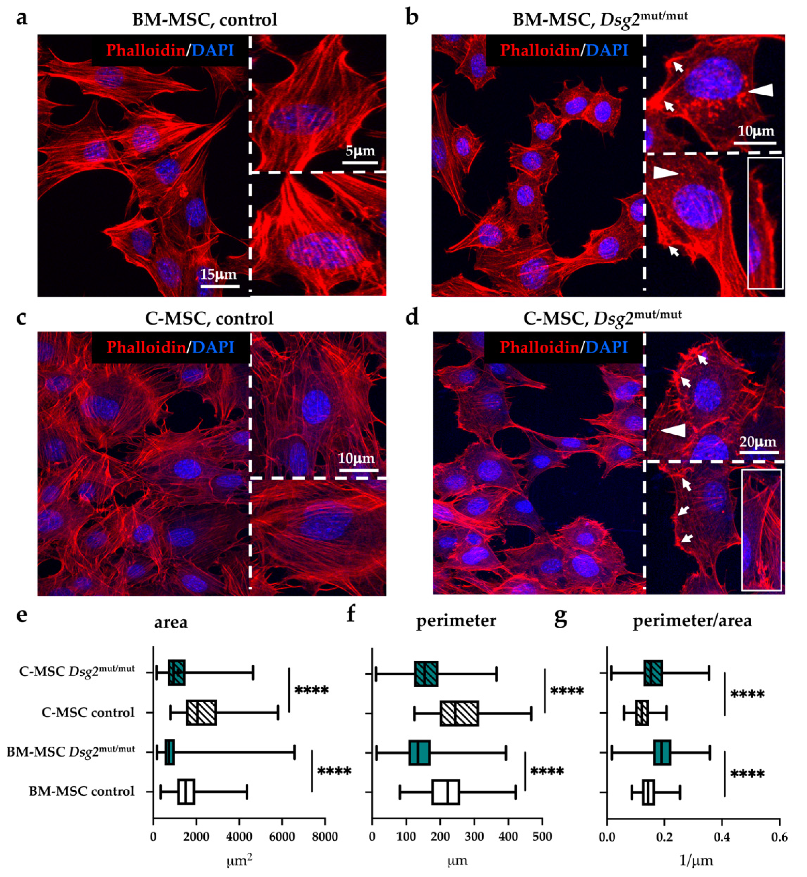 Jcm 10 01871 g002 Jcm 10 01871 g002