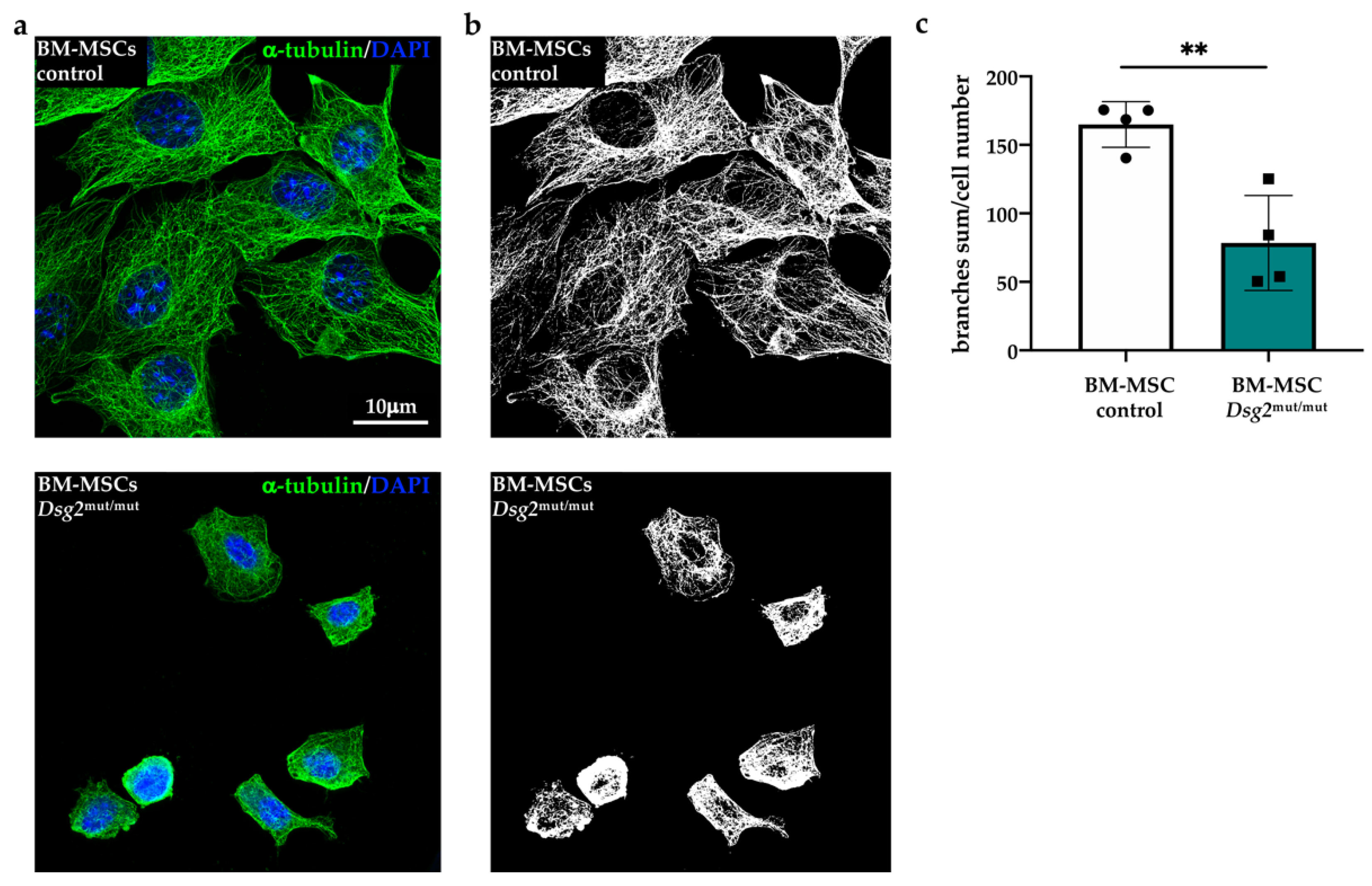 Jcm 10 01871 g003 Jcm 10 01871 g003
