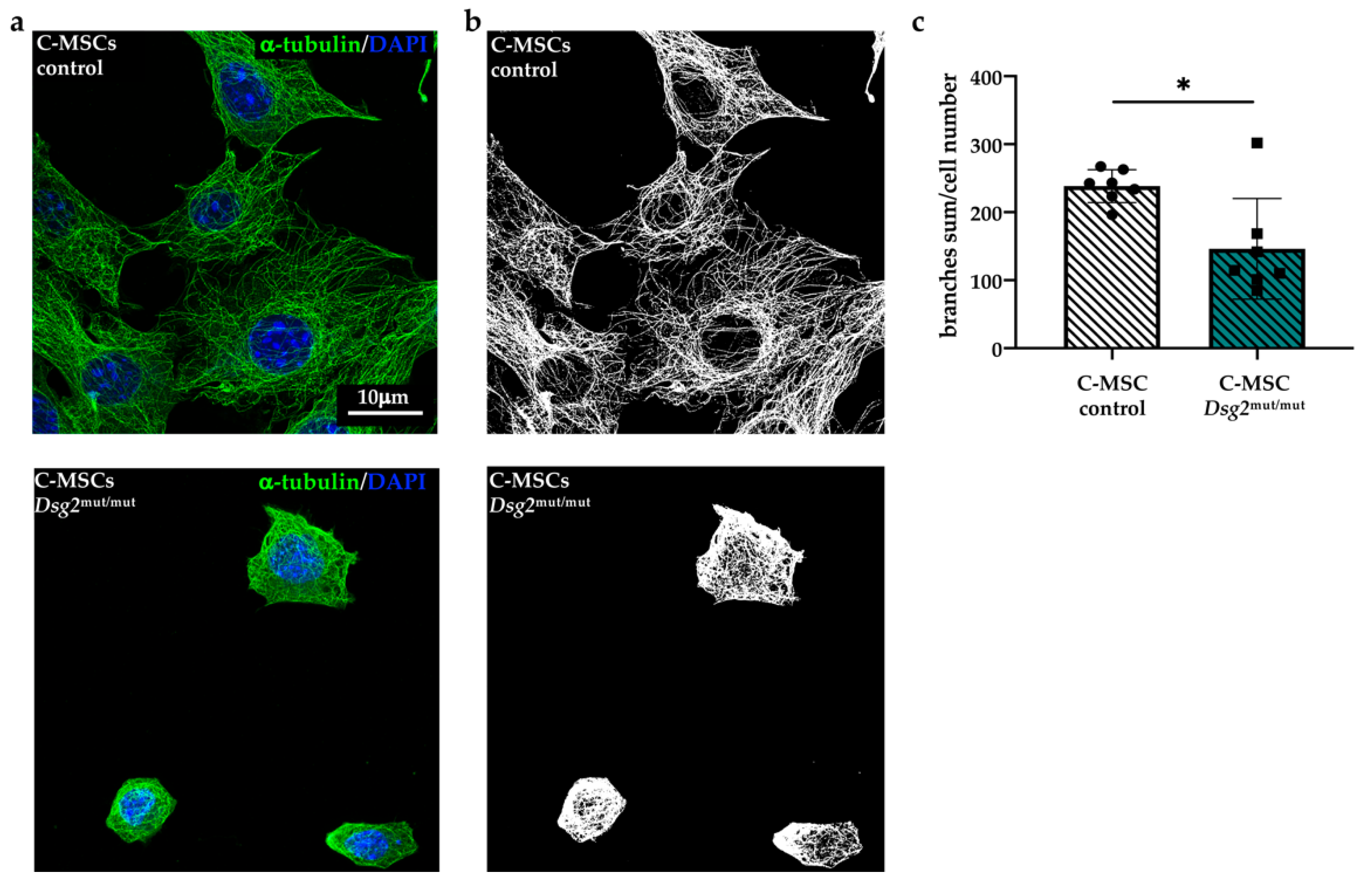 Jcm 10 01871 g004 Jcm 10 01871 g004