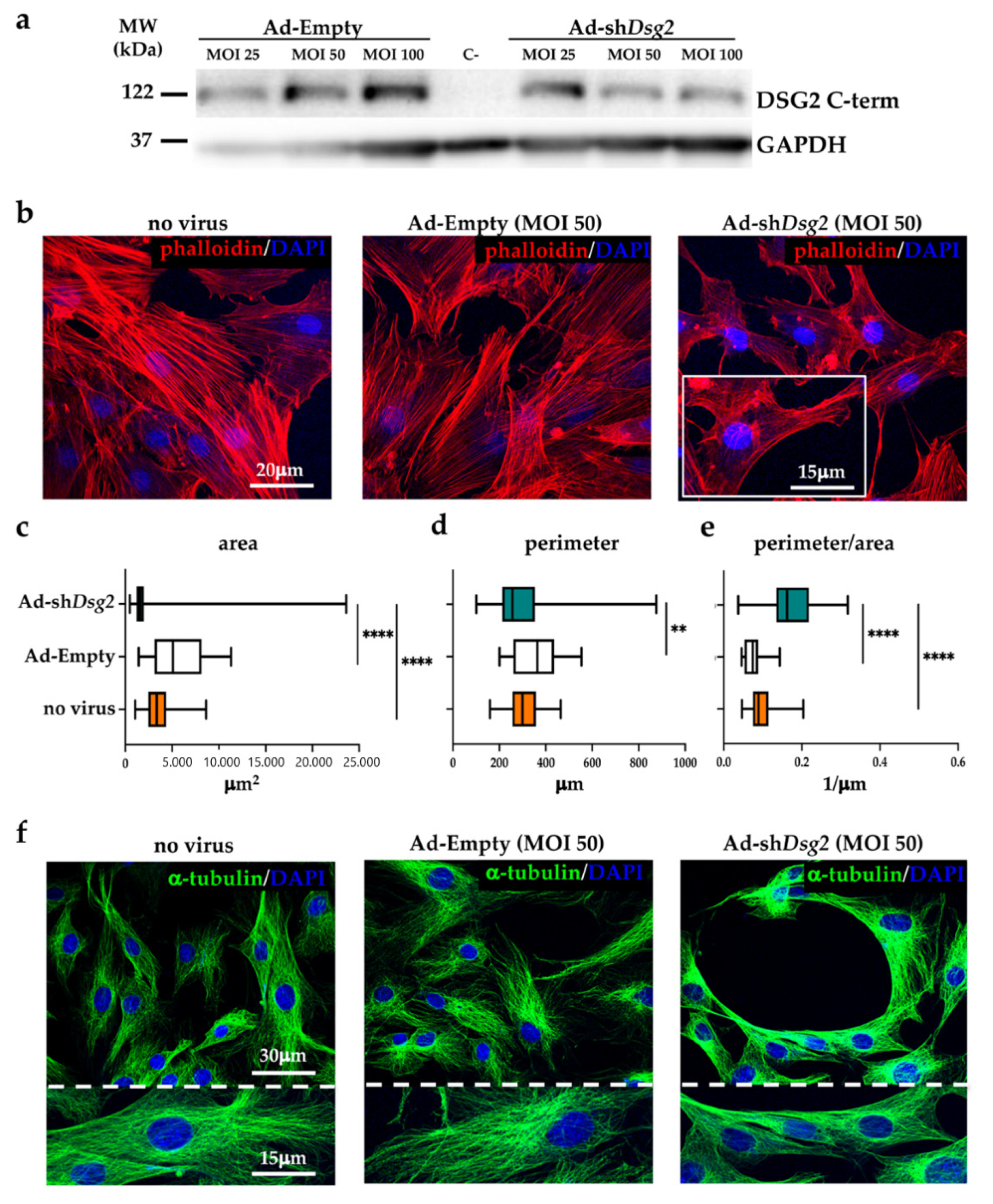 Jcm 10 01871 g005 Jcm 10 01871 g005