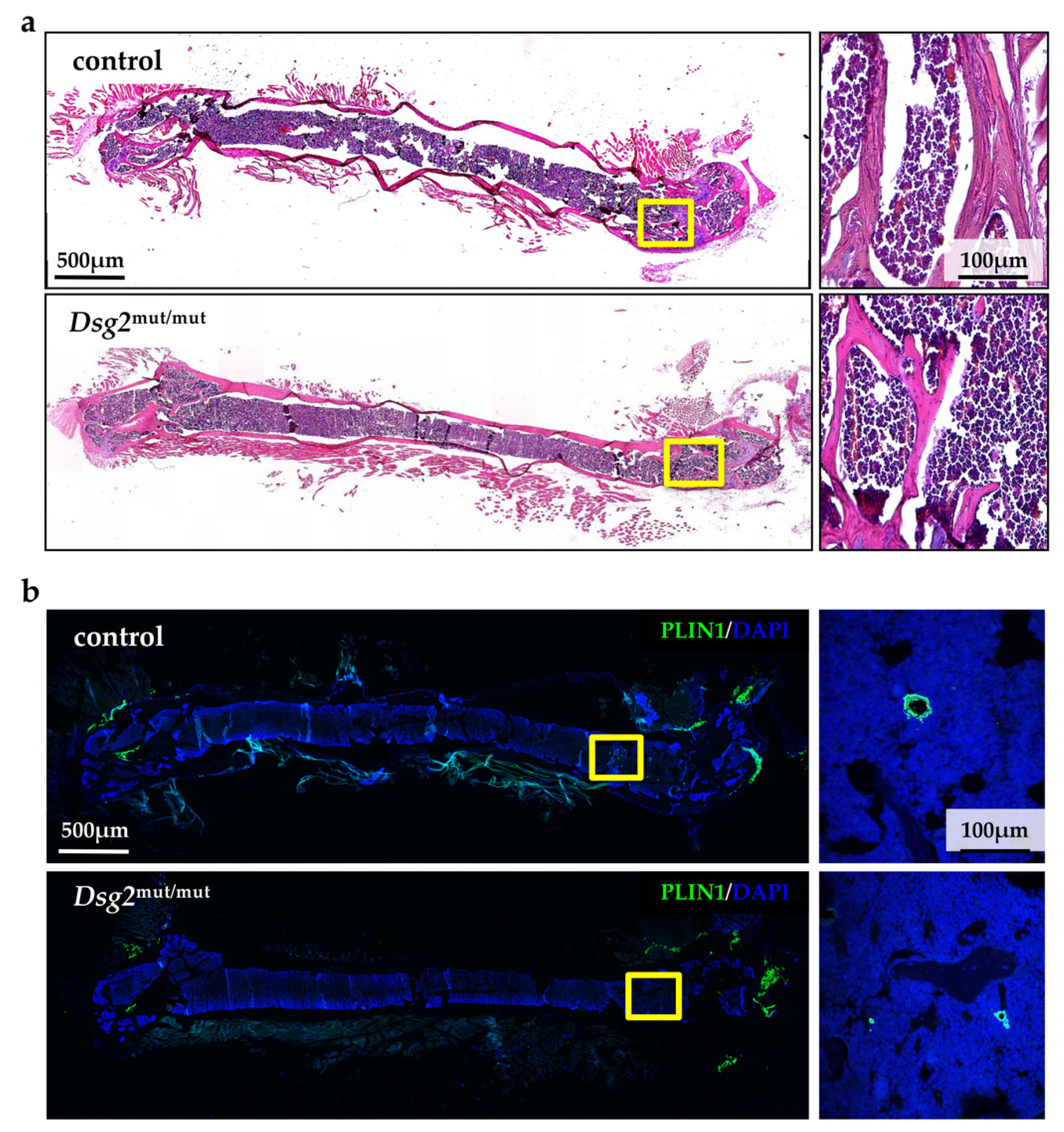 Jcm 10 01871 g008 Jcm 10 01871 g008