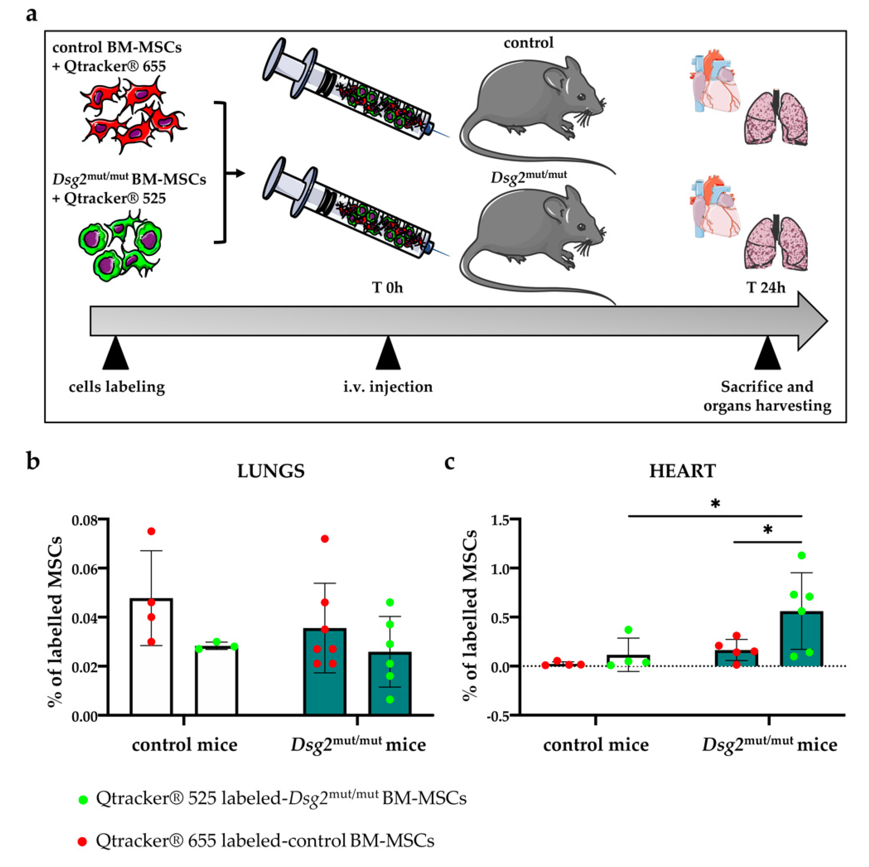 Jcm 10 01871 g009 Jcm 10 01871 g009