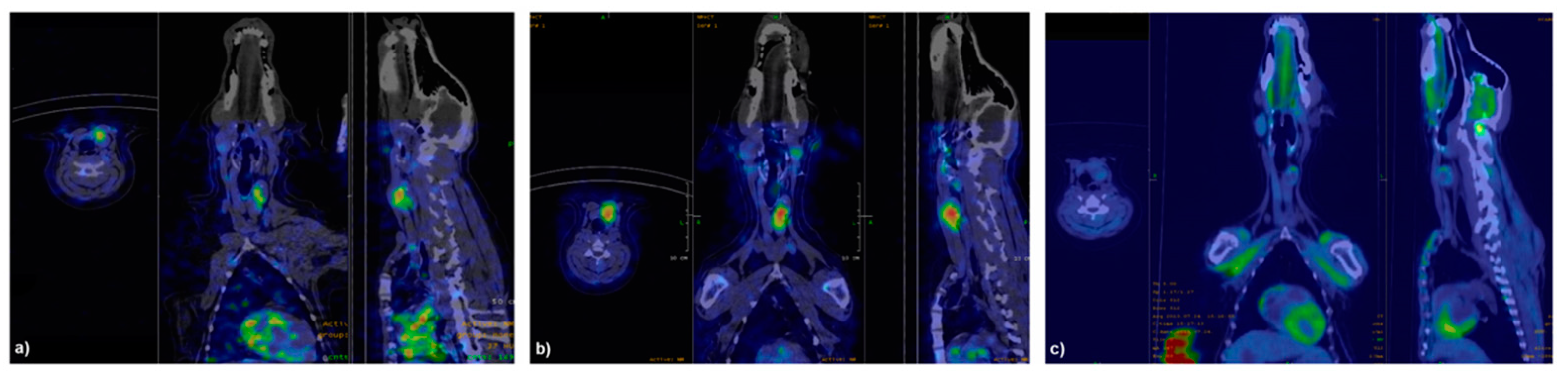 Jcm 10 01878 g003 Jcm 10 01878 g003