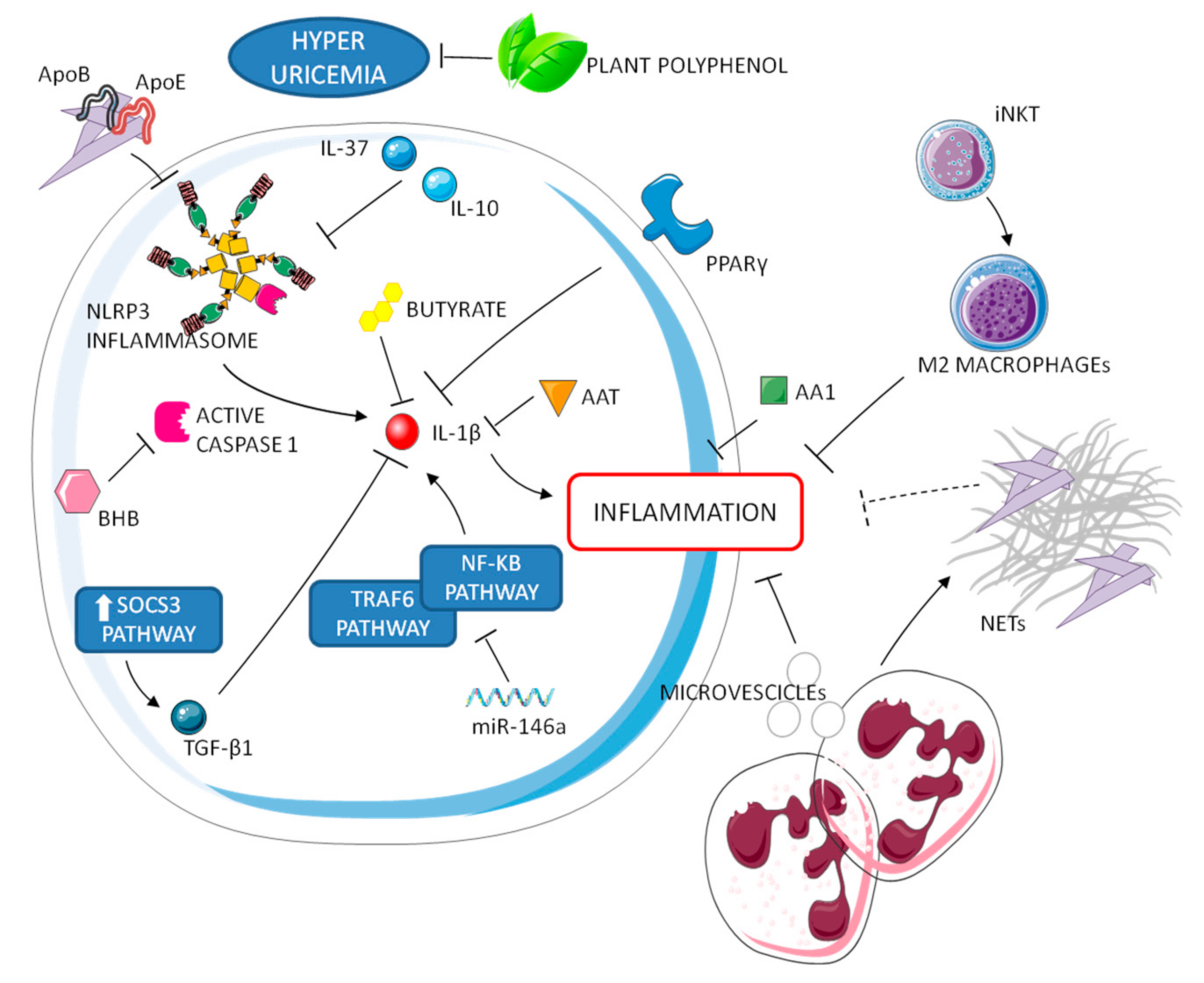 Jcm 10 01880 g002 Jcm 10 01880 g002