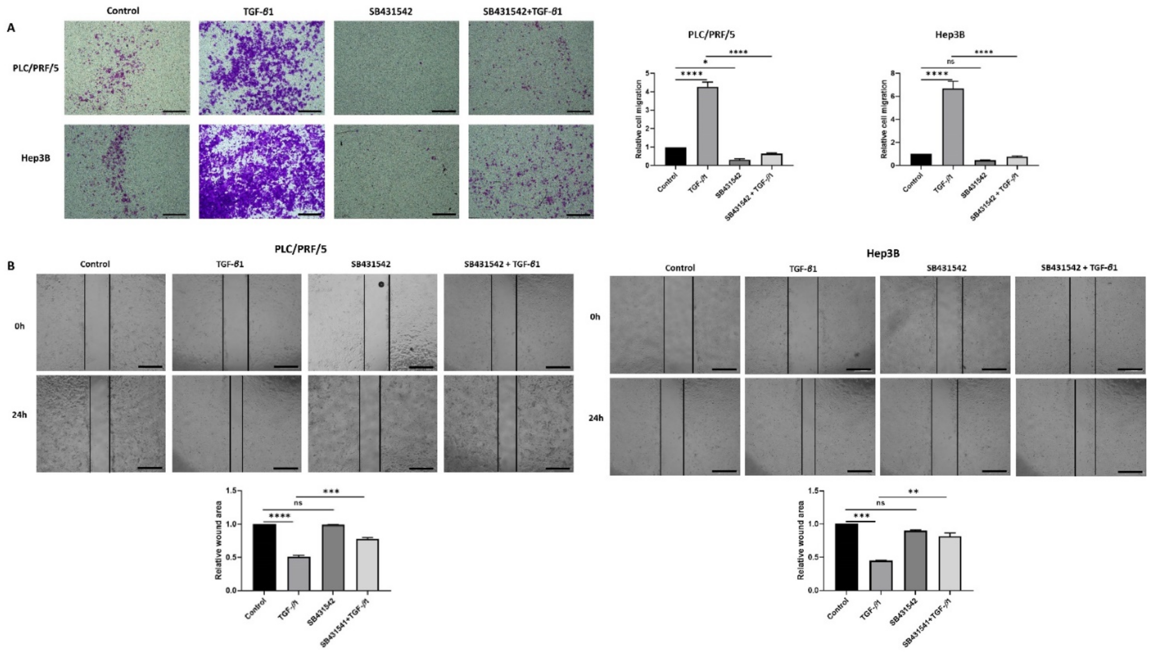 Jcm 10 01889 g004 Jcm 10 01889 g004