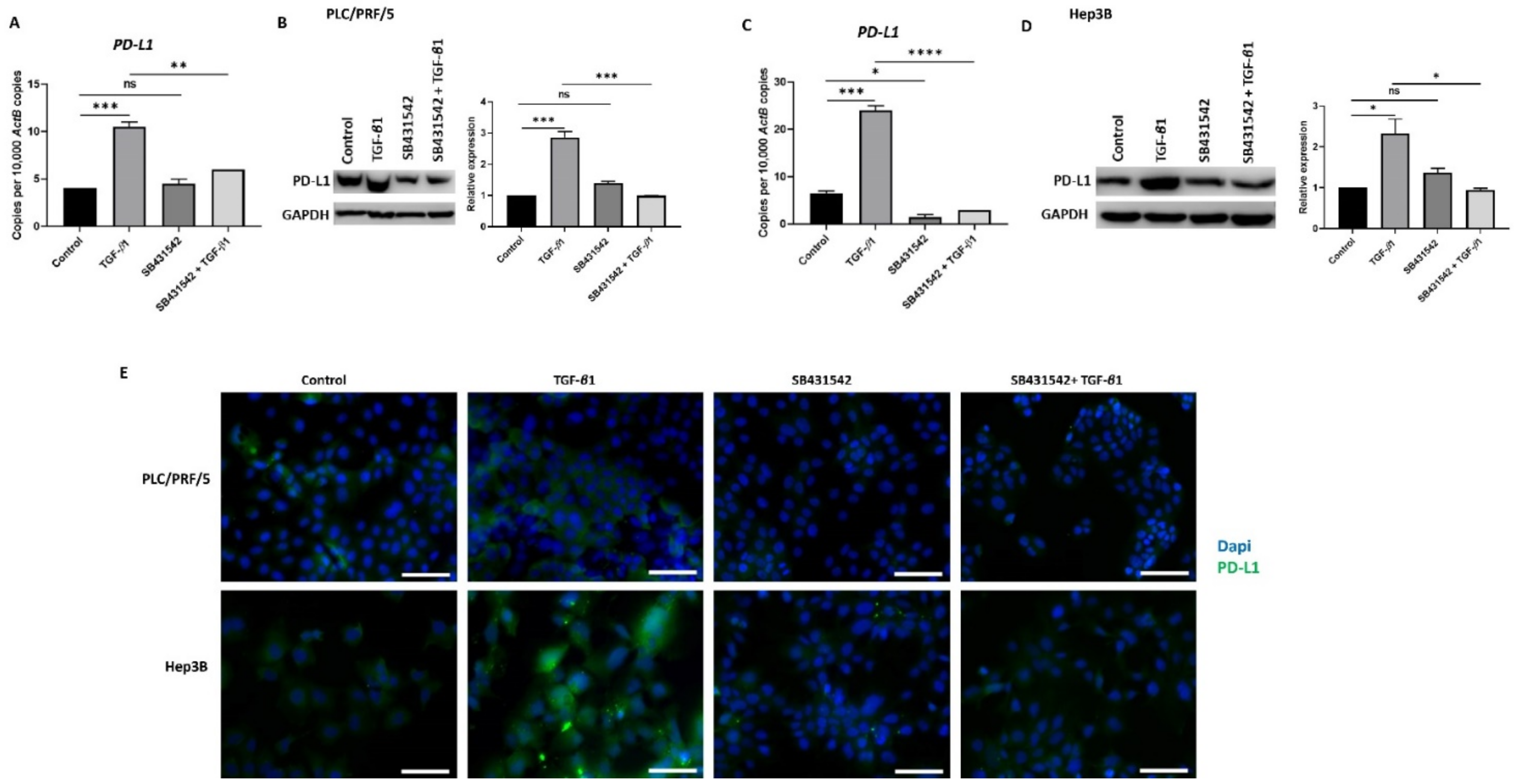 Jcm 10 01889 g005 Jcm 10 01889 g005